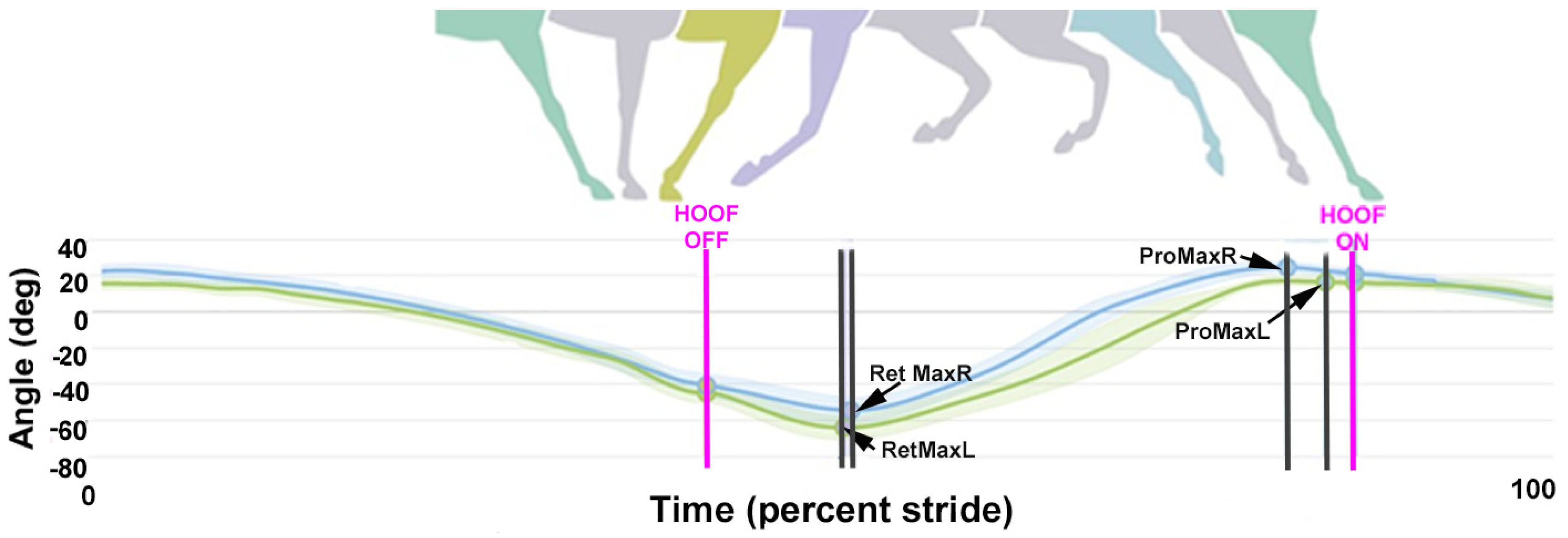 Animals 15 00241 g008