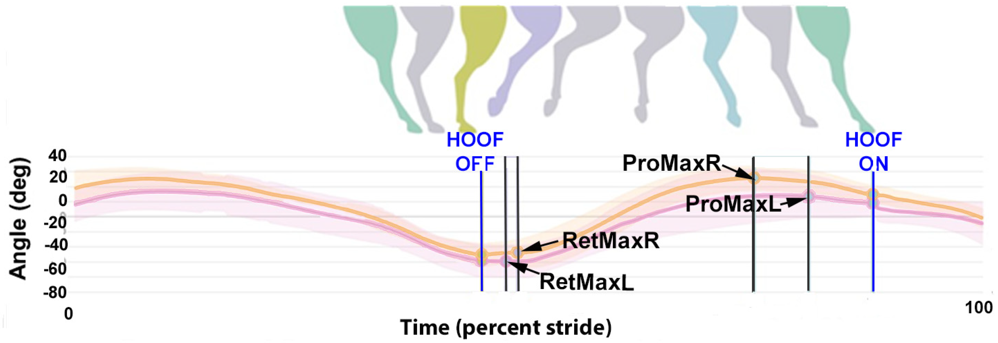 Animals 15 00241 g009