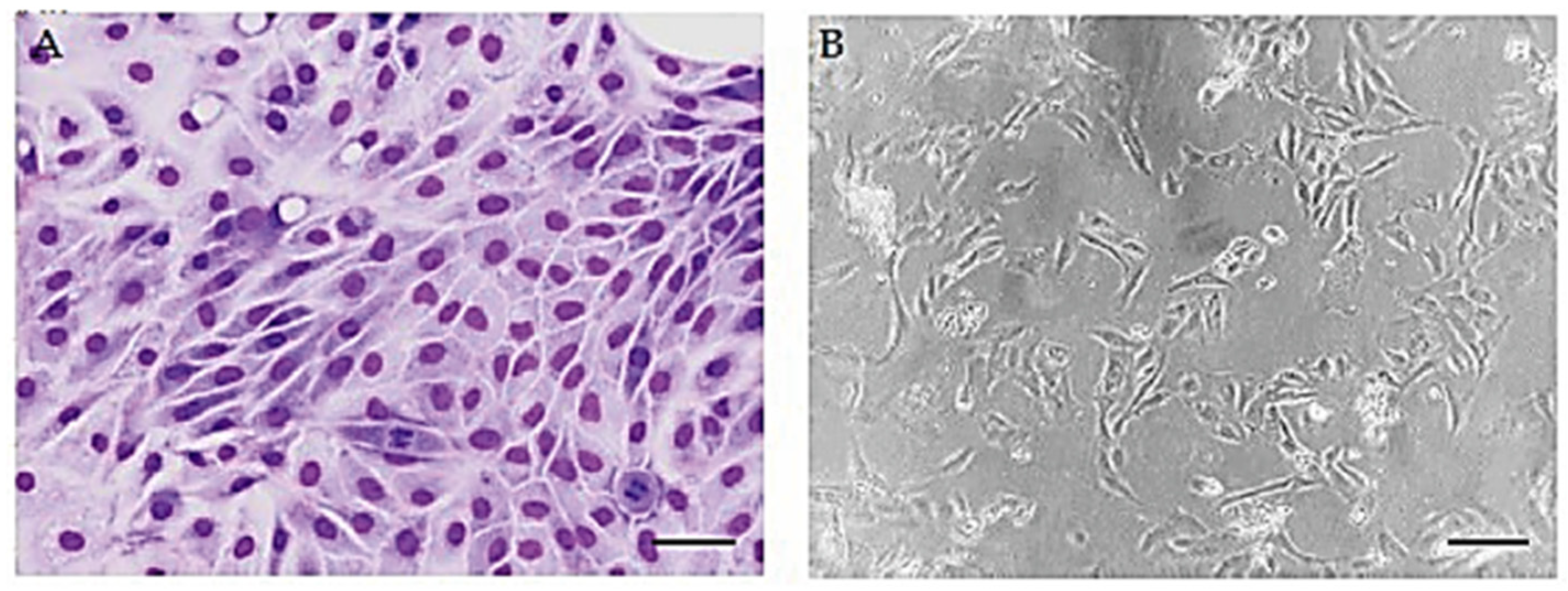 Animals 15 00242 g001