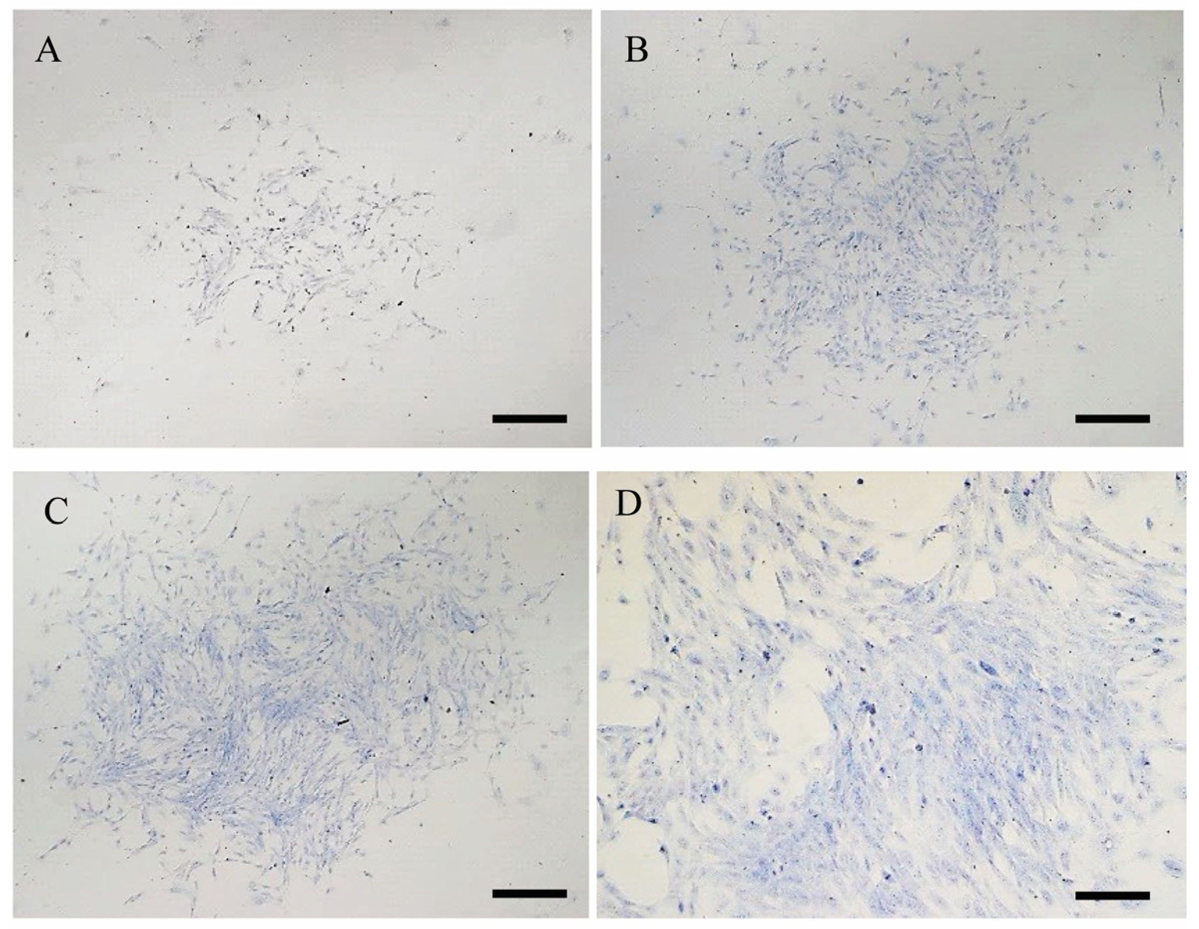 Animals 15 00242 g007