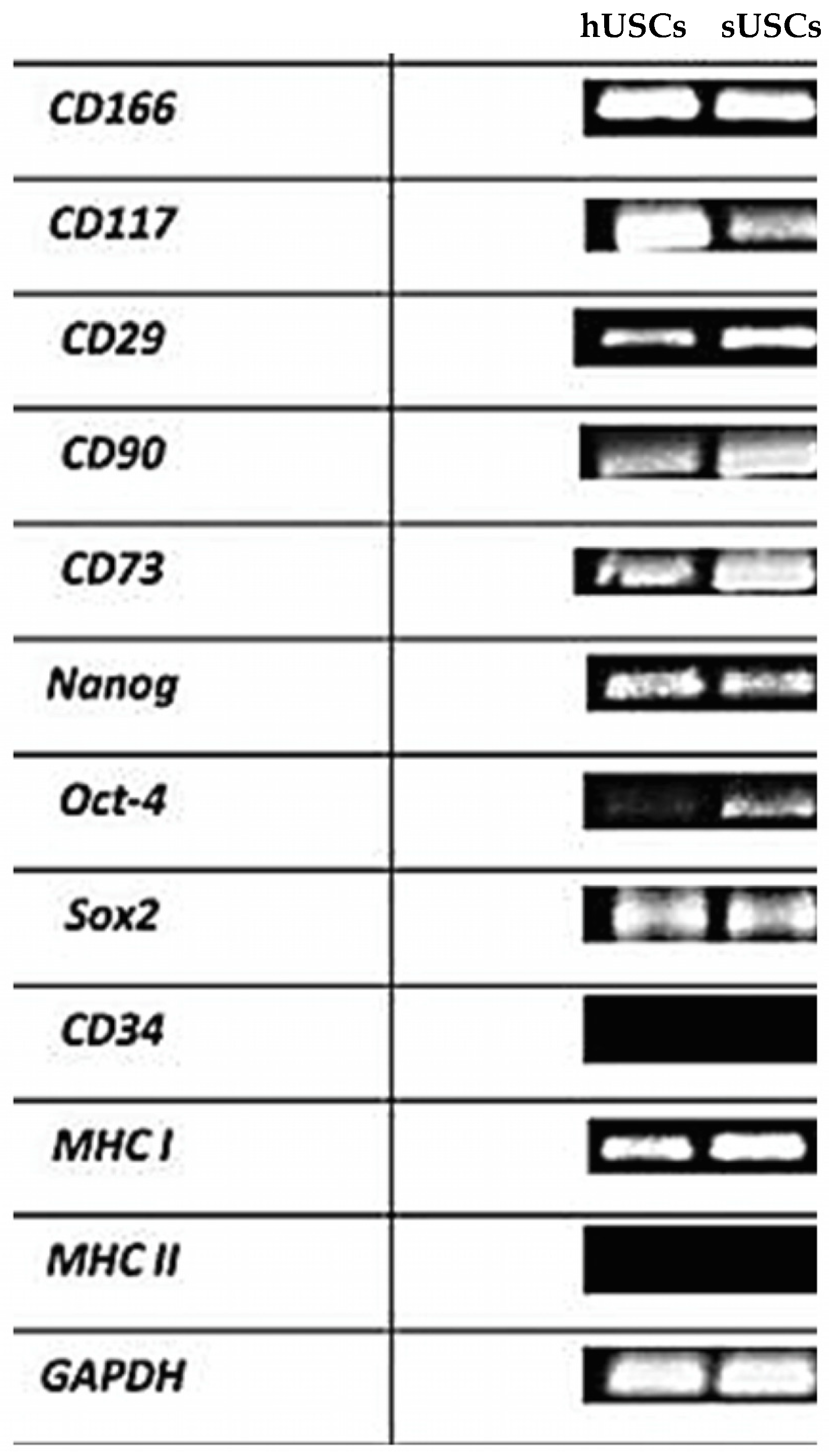 Animals 15 00242 g010