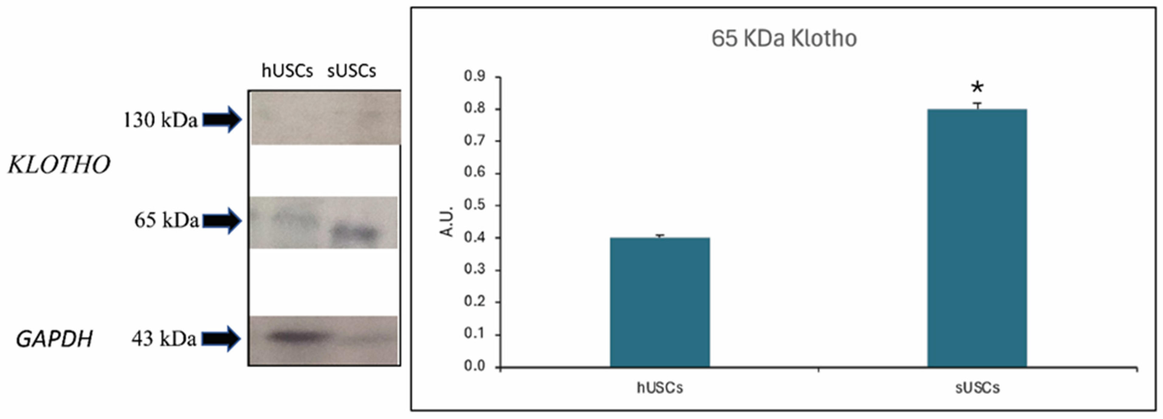 Animals 15 00242 g011