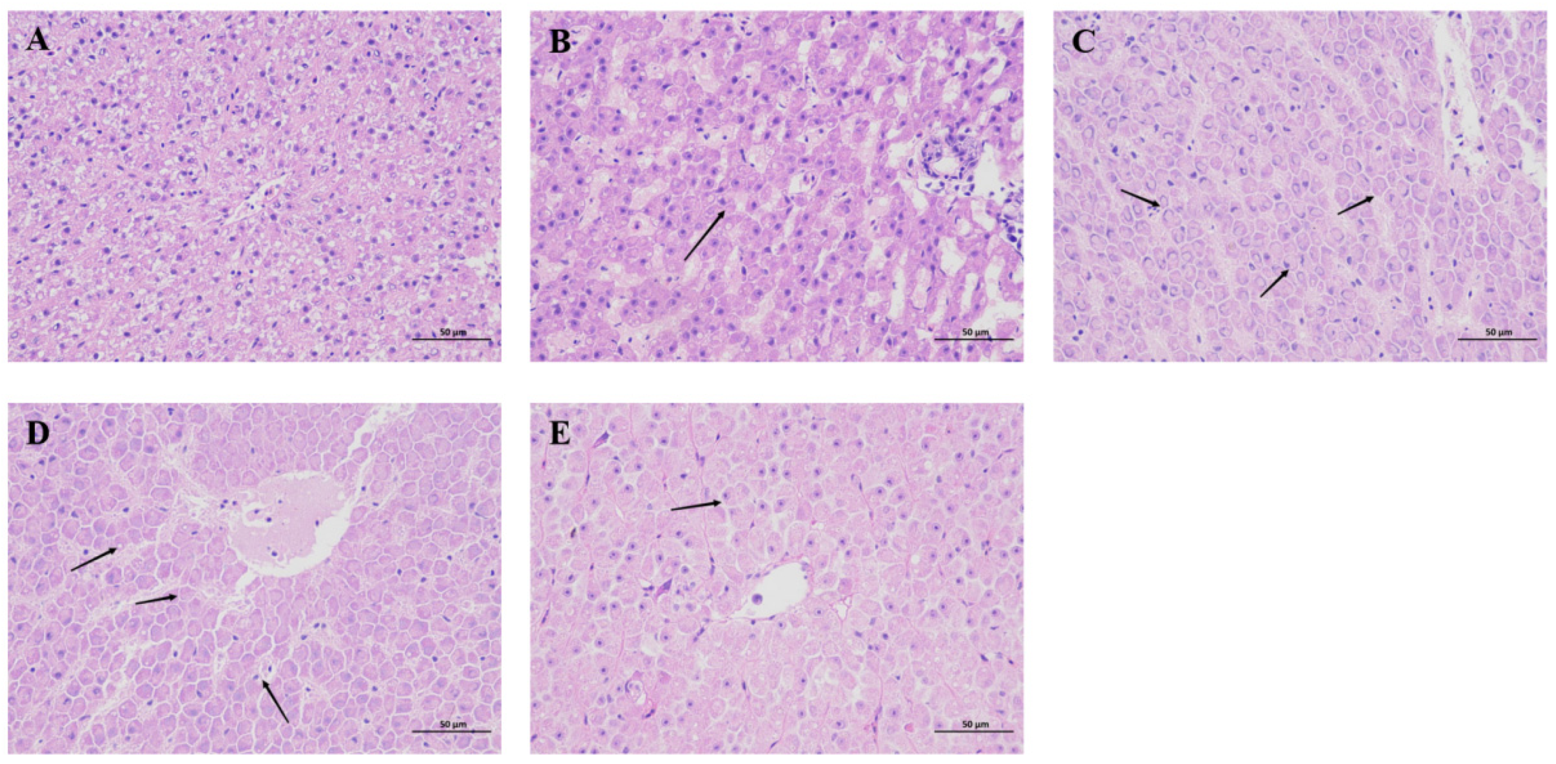 Animals 15 00263 g002