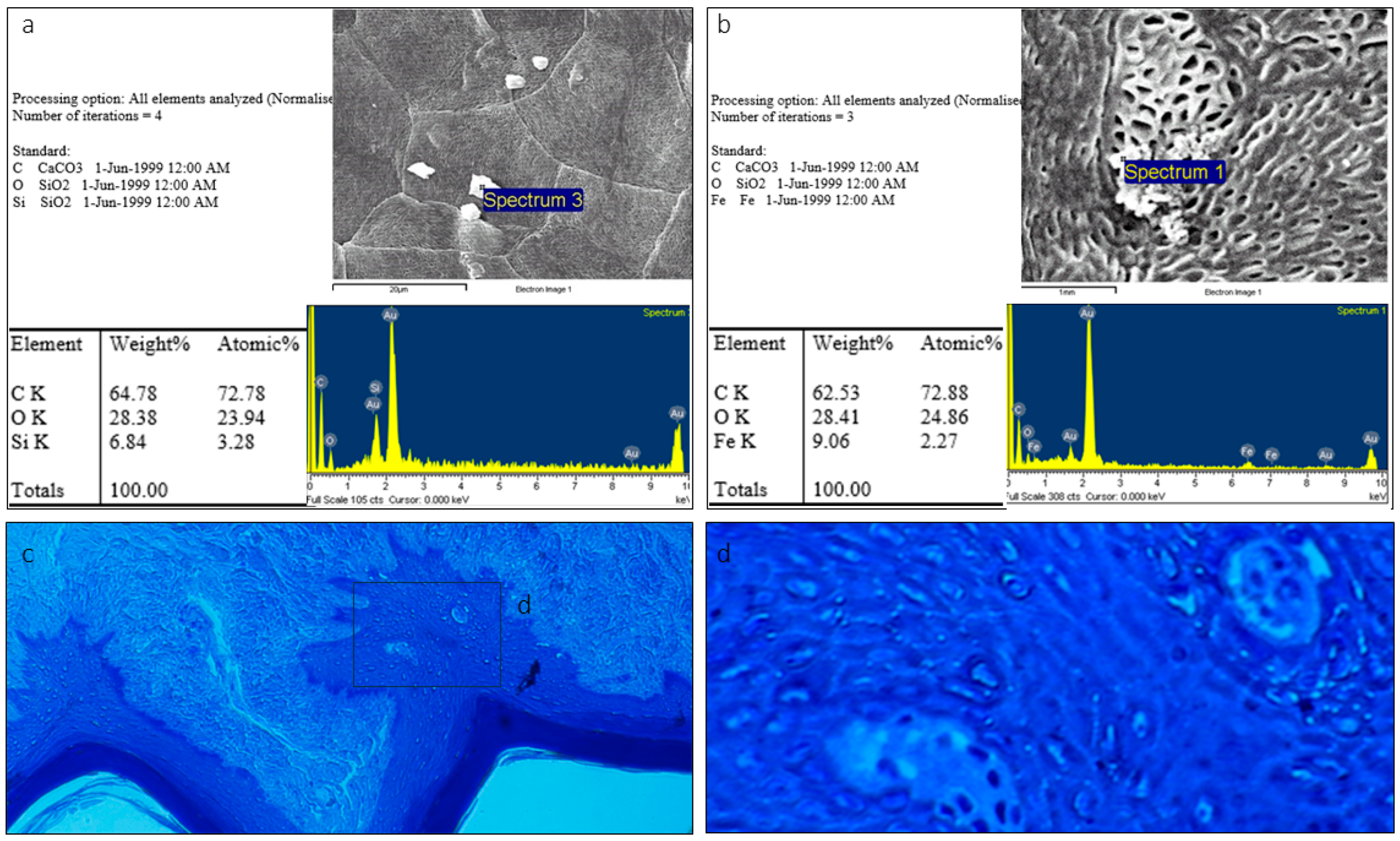 Animals 15 00275 g007