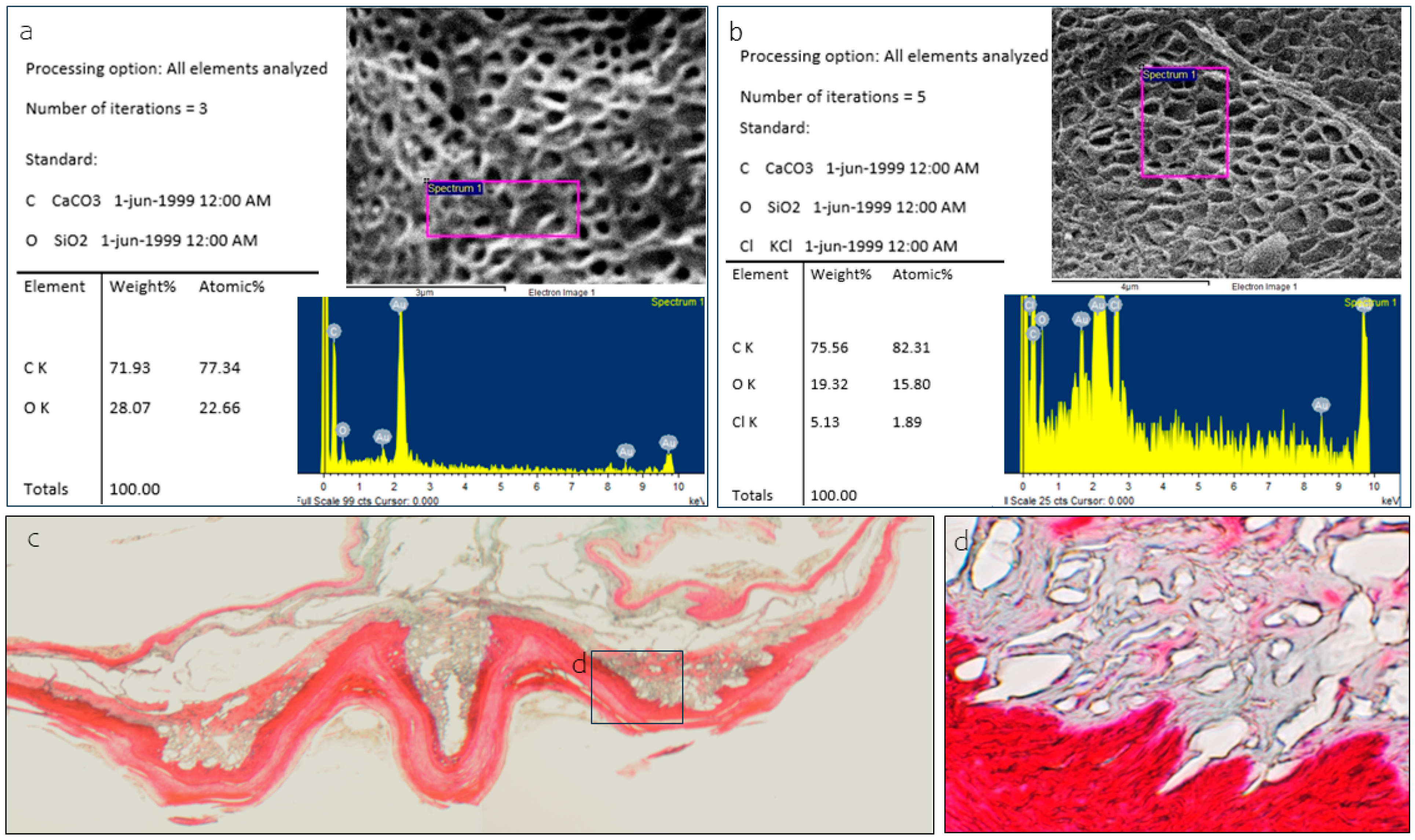 Animals 15 00275 g010