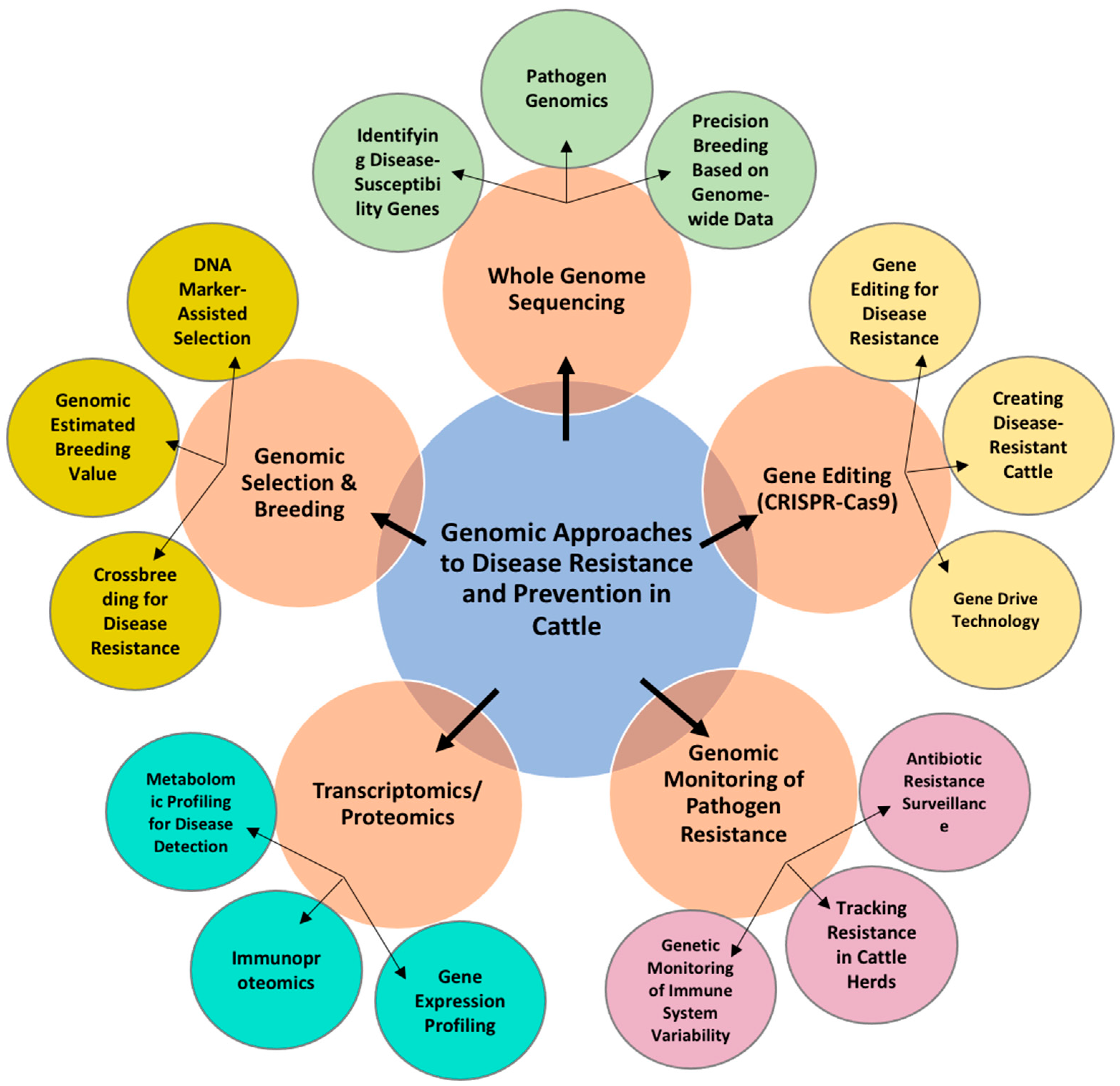 Animals 15 00277 g001