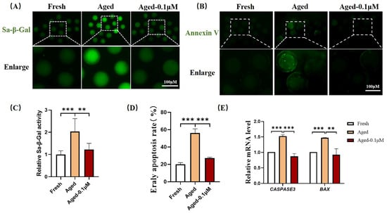 Animals 15 00291 g004