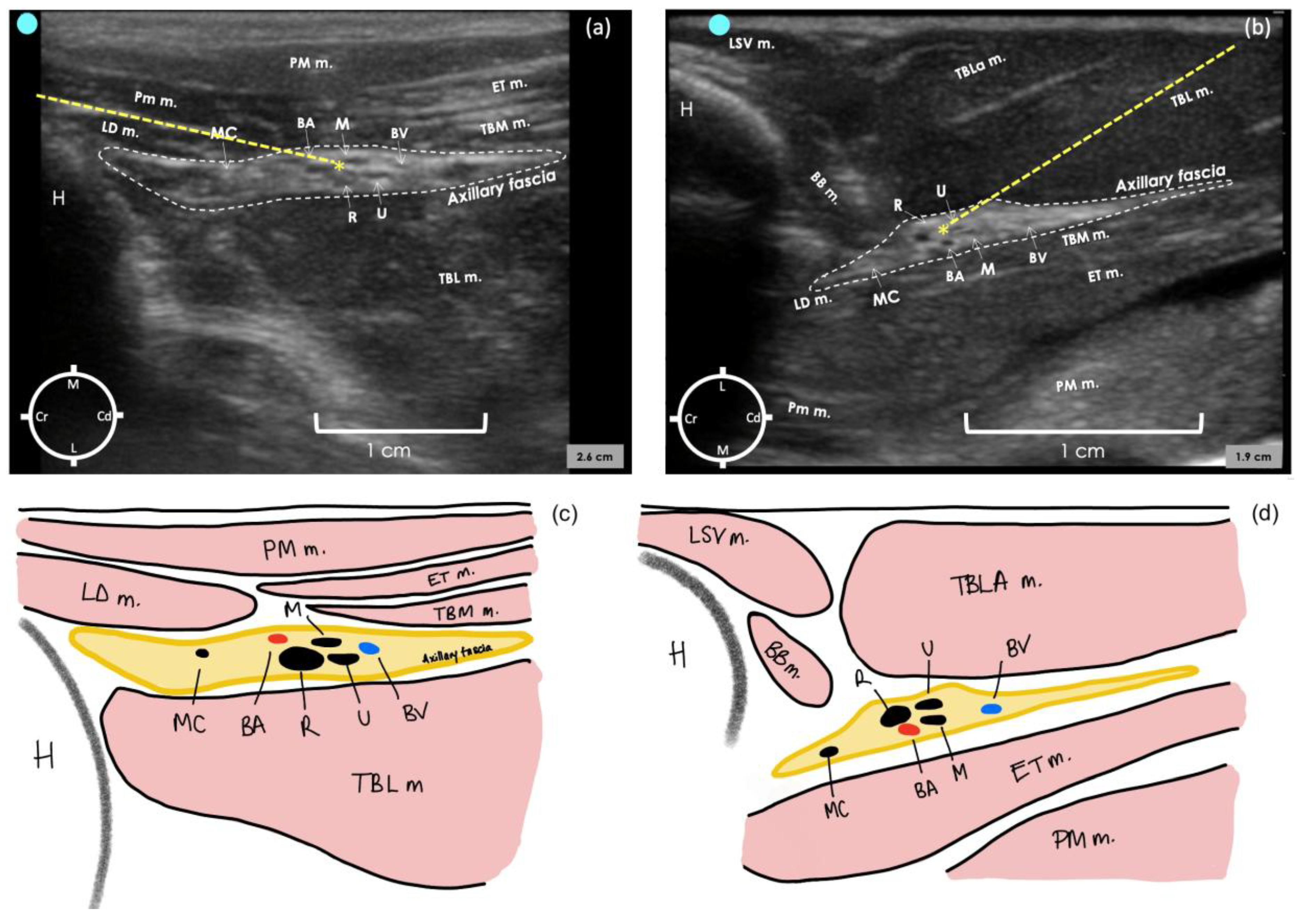Animals 15 00294 g003 Animals 15 00294 g003