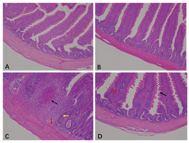 Animals 15 00299 g001