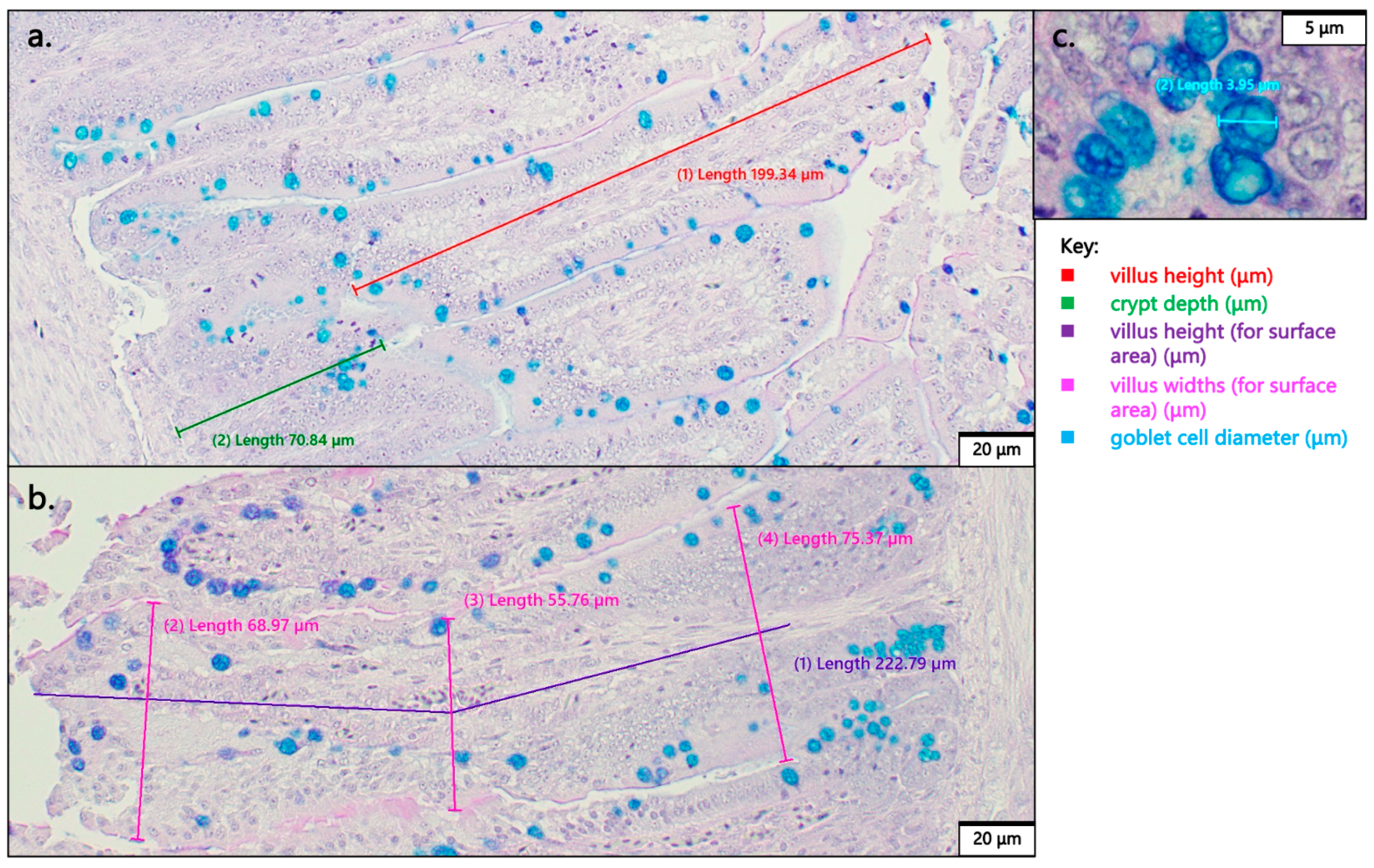 Animals 15 00303 g001