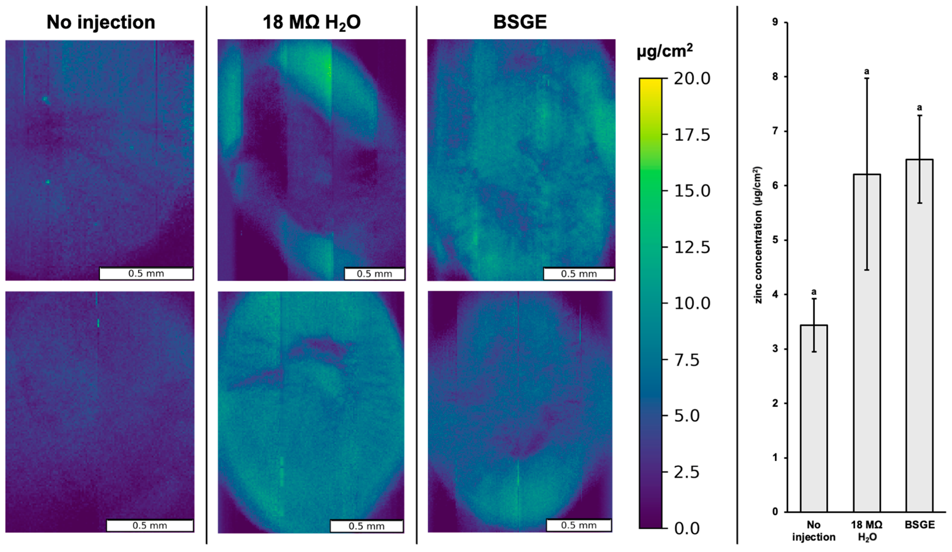 Animals 15 00303 g003