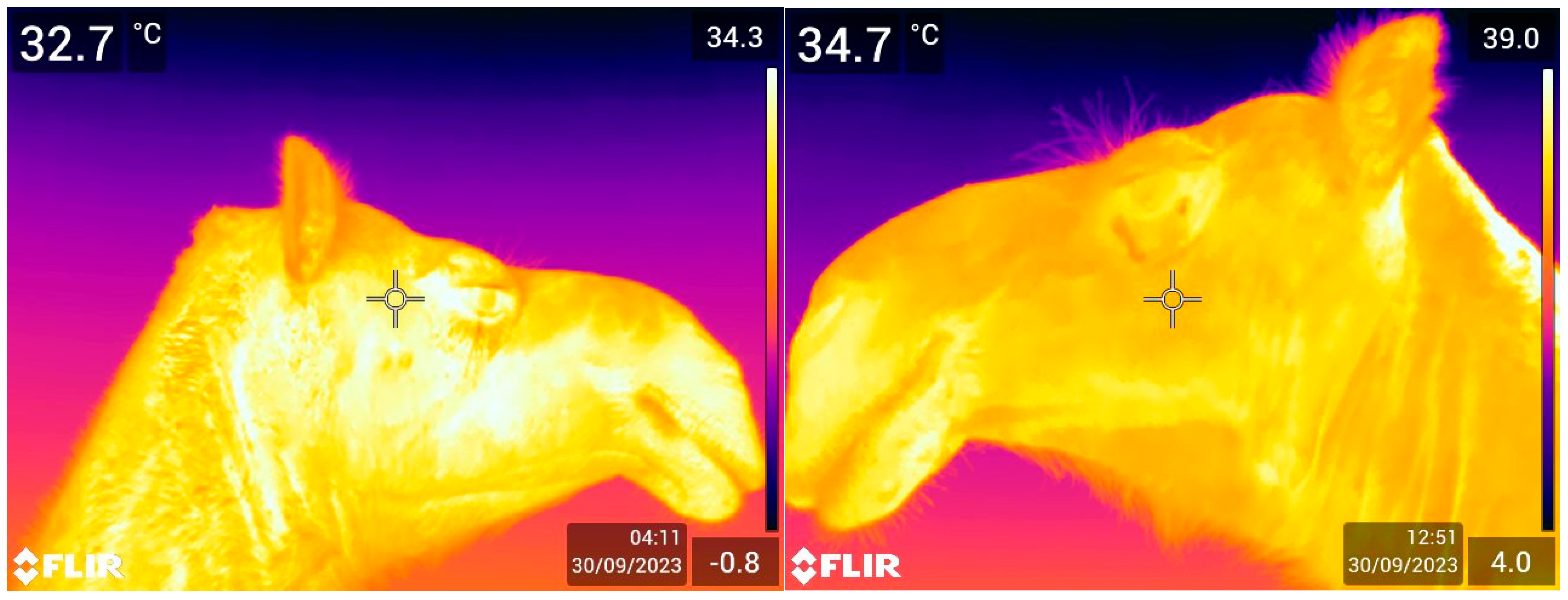 Animals 15 00309 g002