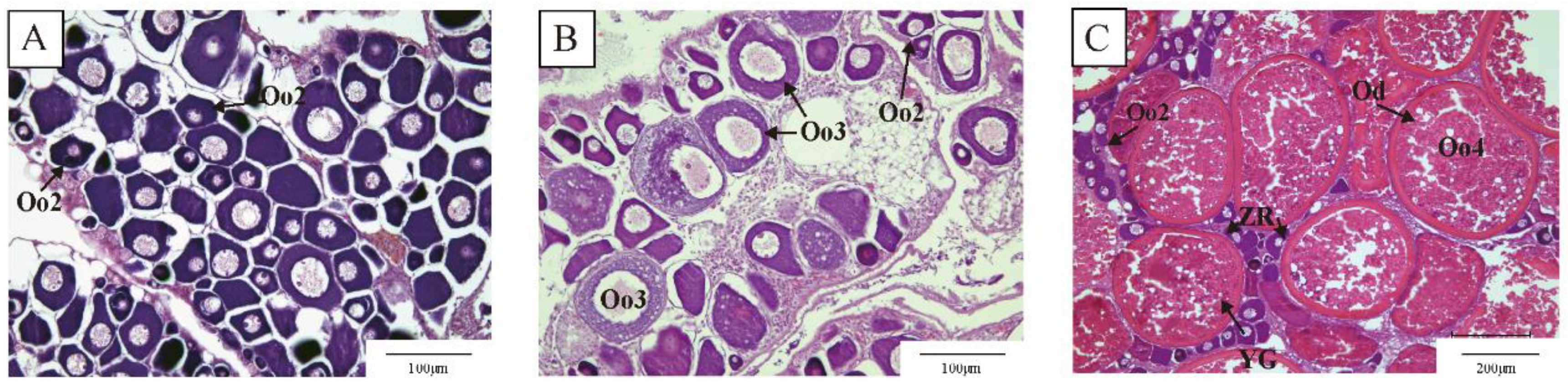 Animals 15 00333 g001