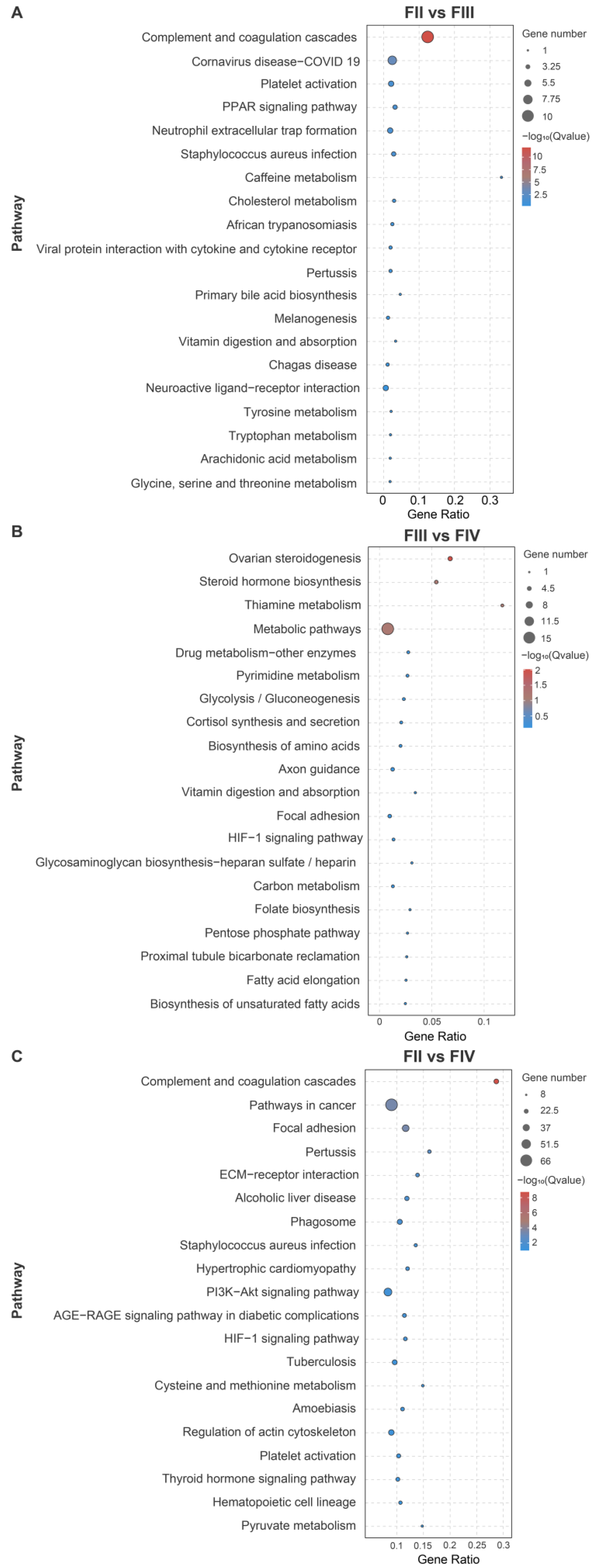 Animals 15 00333 g004