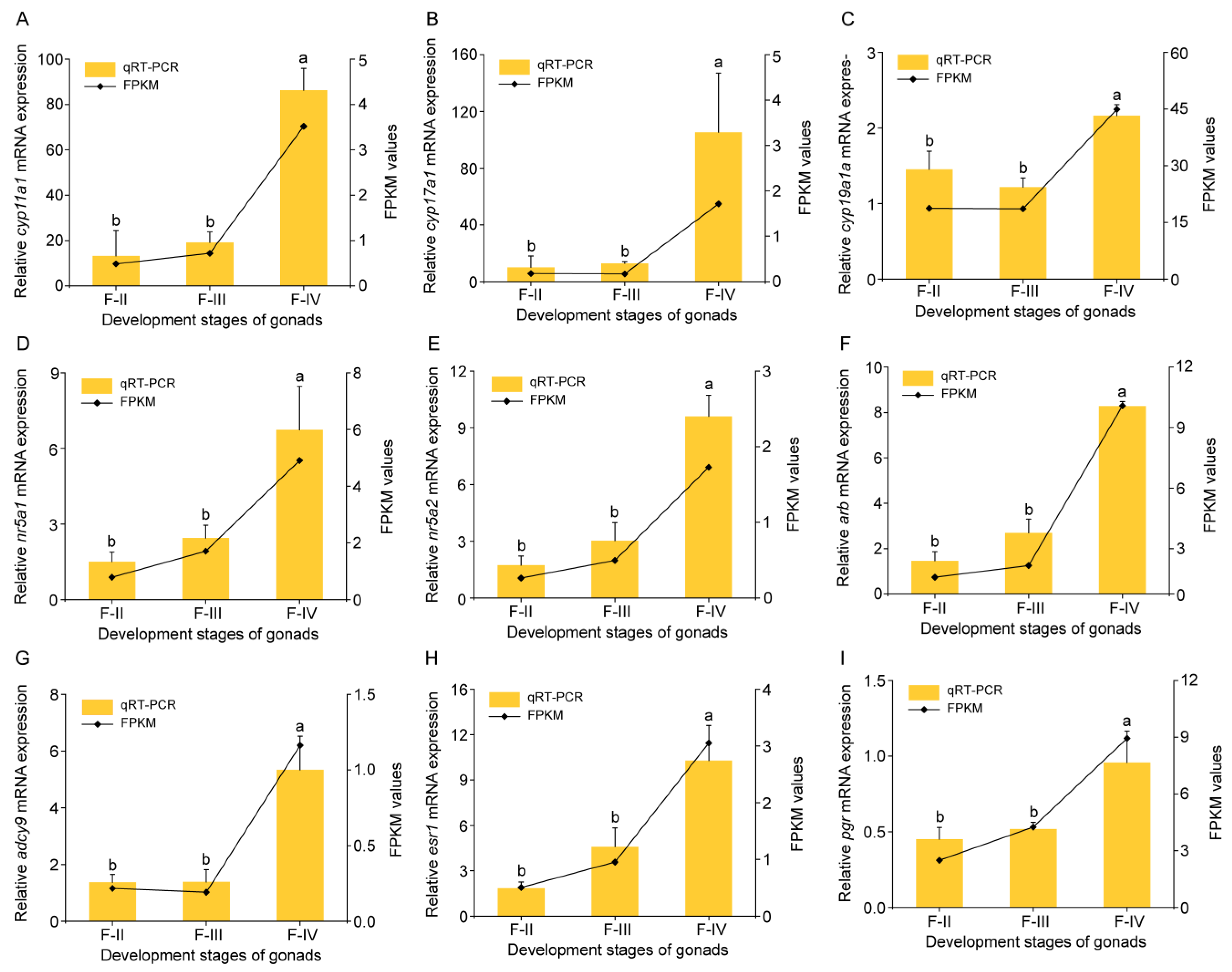 Animals 15 00333 g005