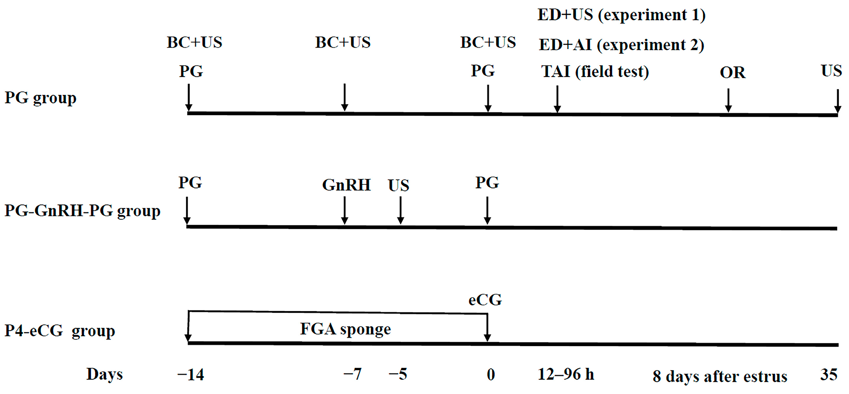 Animals 15 00336 g001