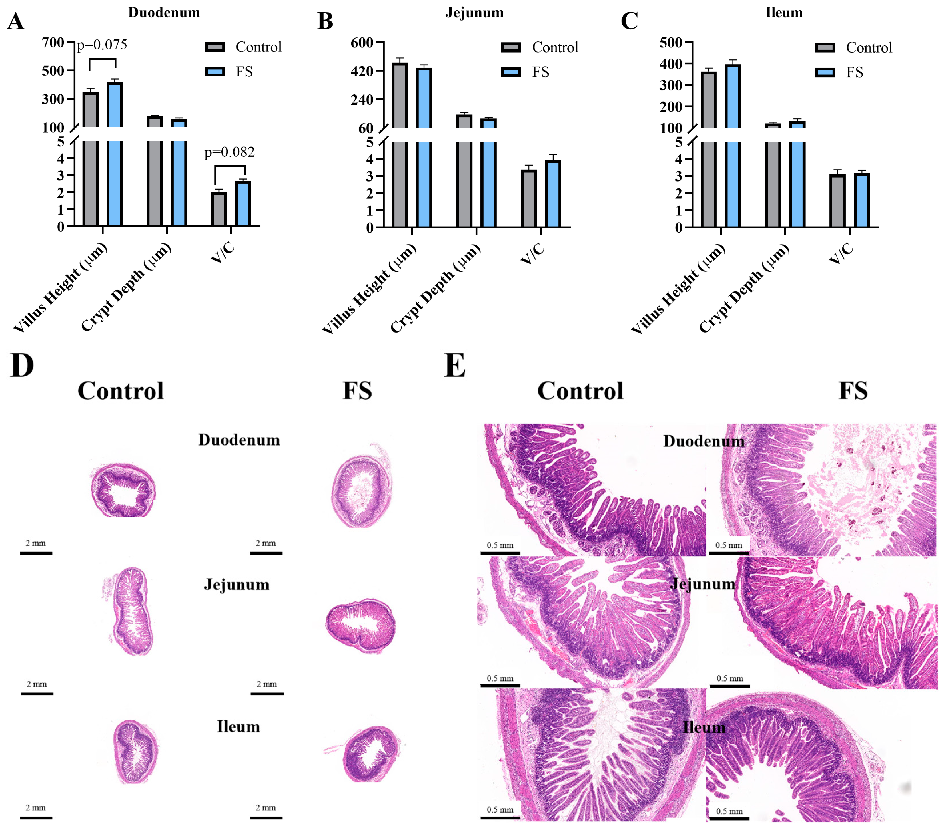 Animals 15 00343 g002