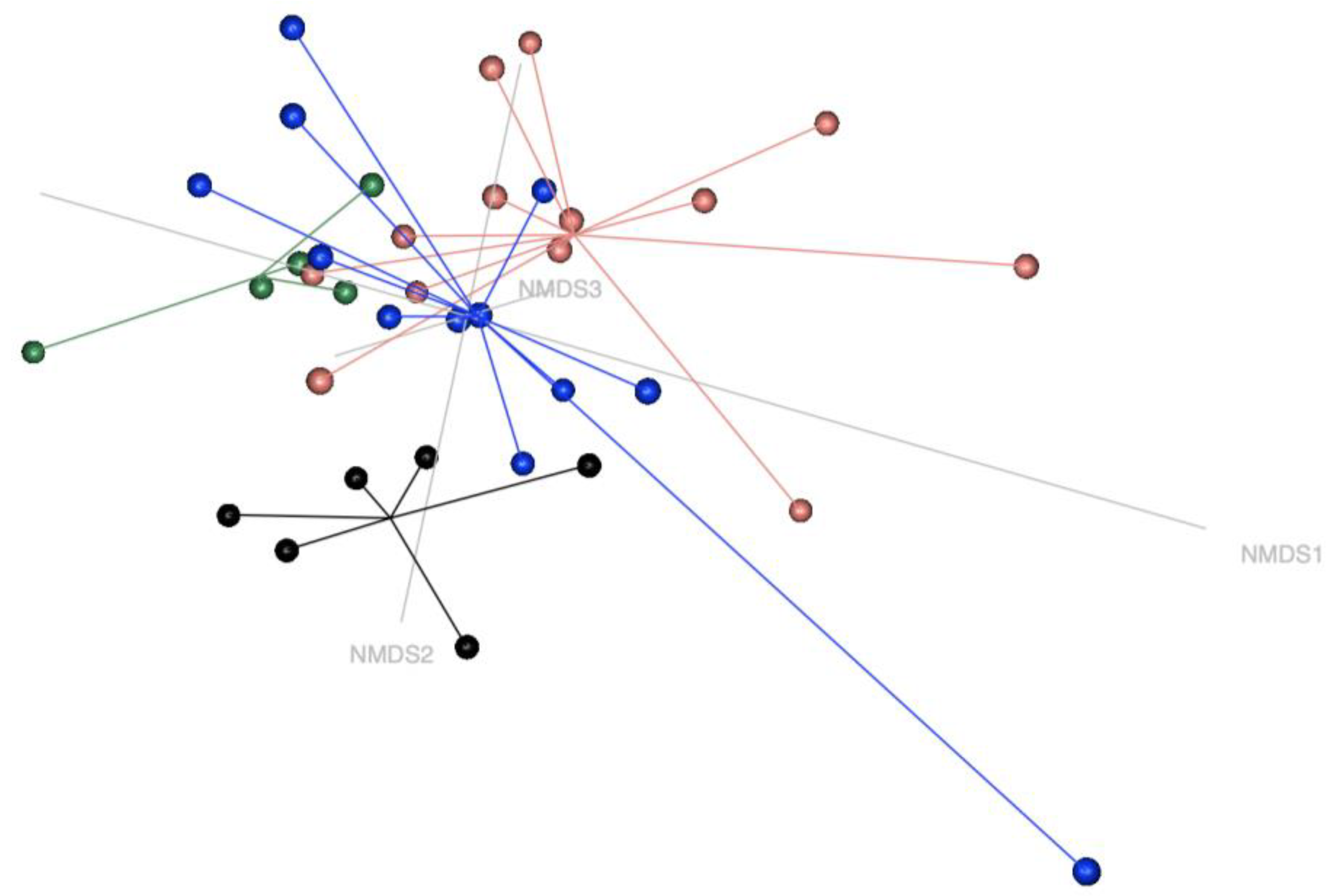 Animals 15 00354 g002