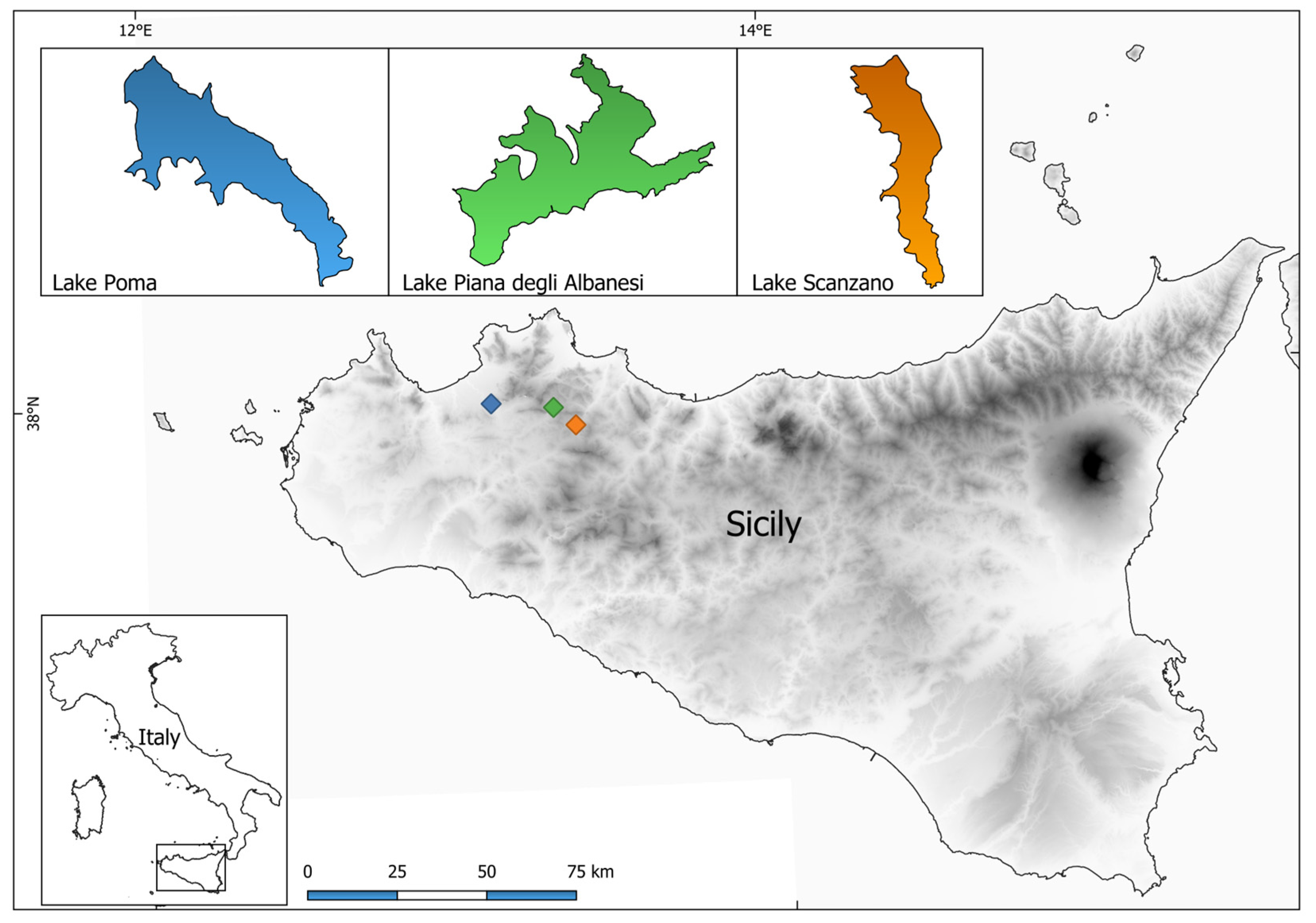 Animals 15 00355 g001