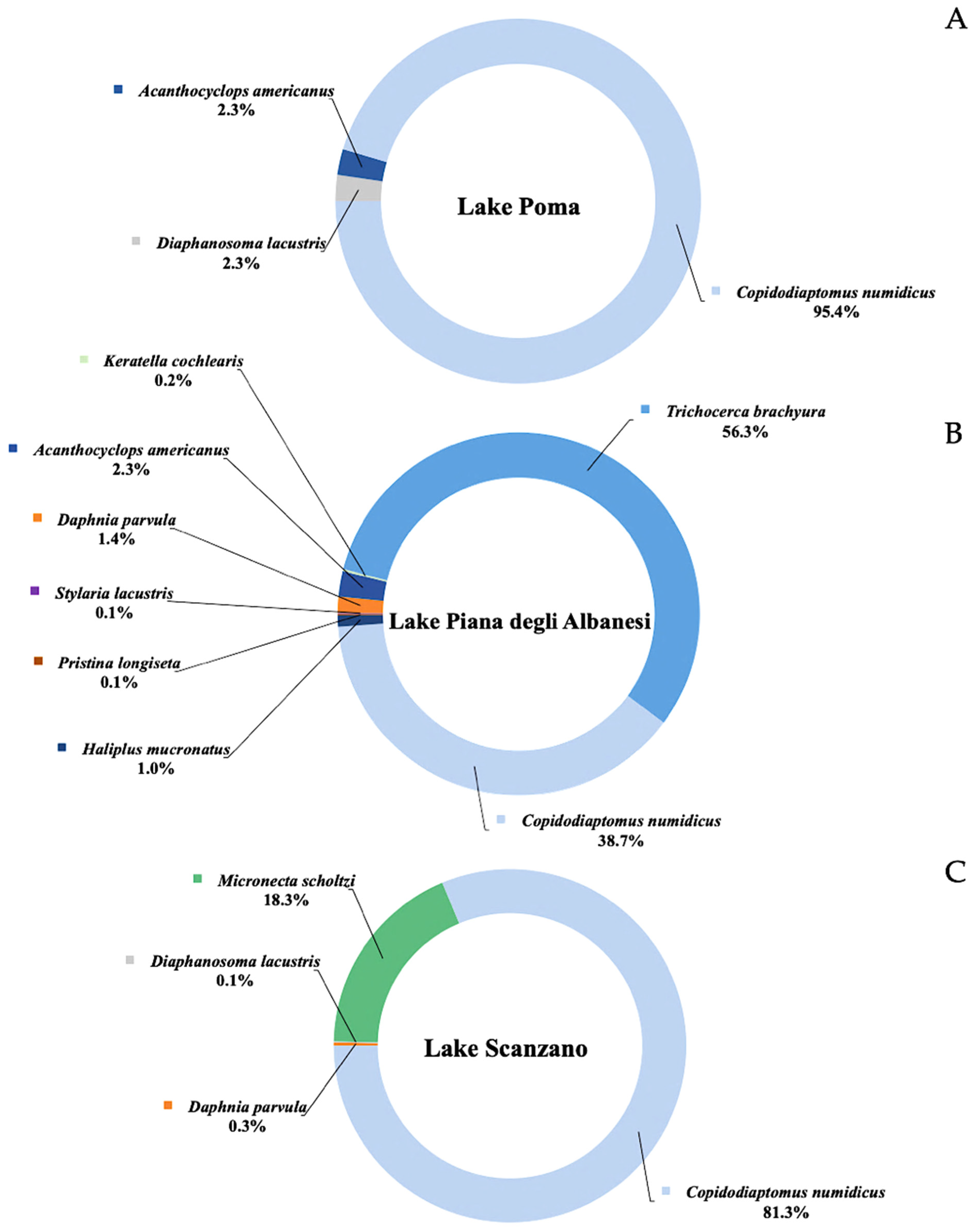Animals 15 00355 g002