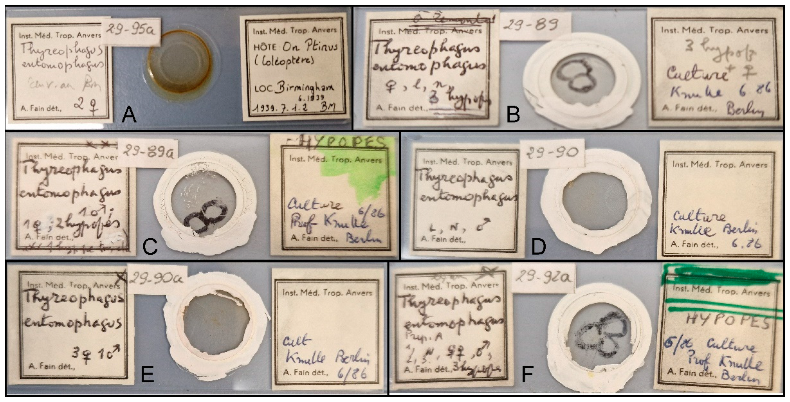 Animals 15 00357 g001