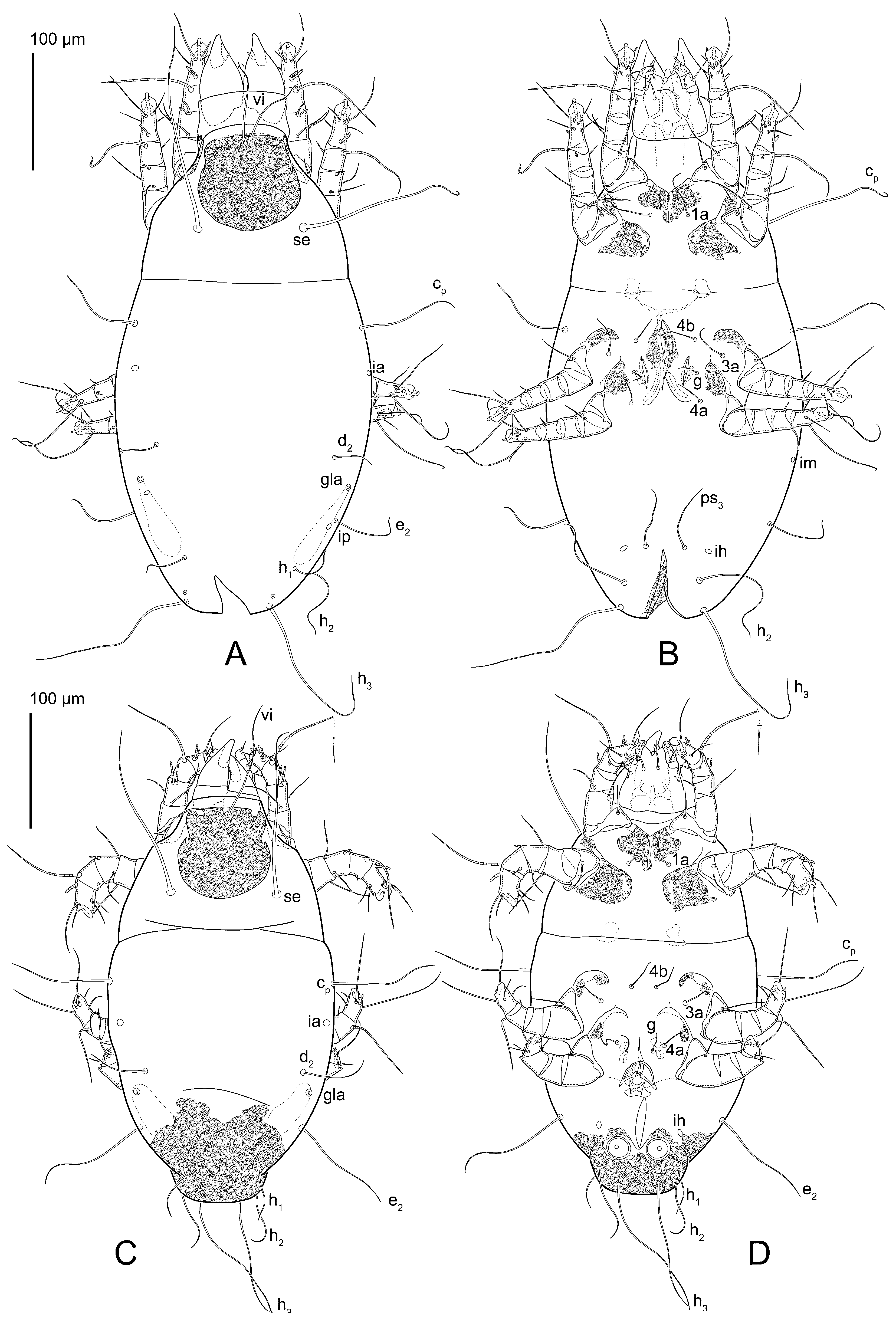 Animals 15 00357 g003