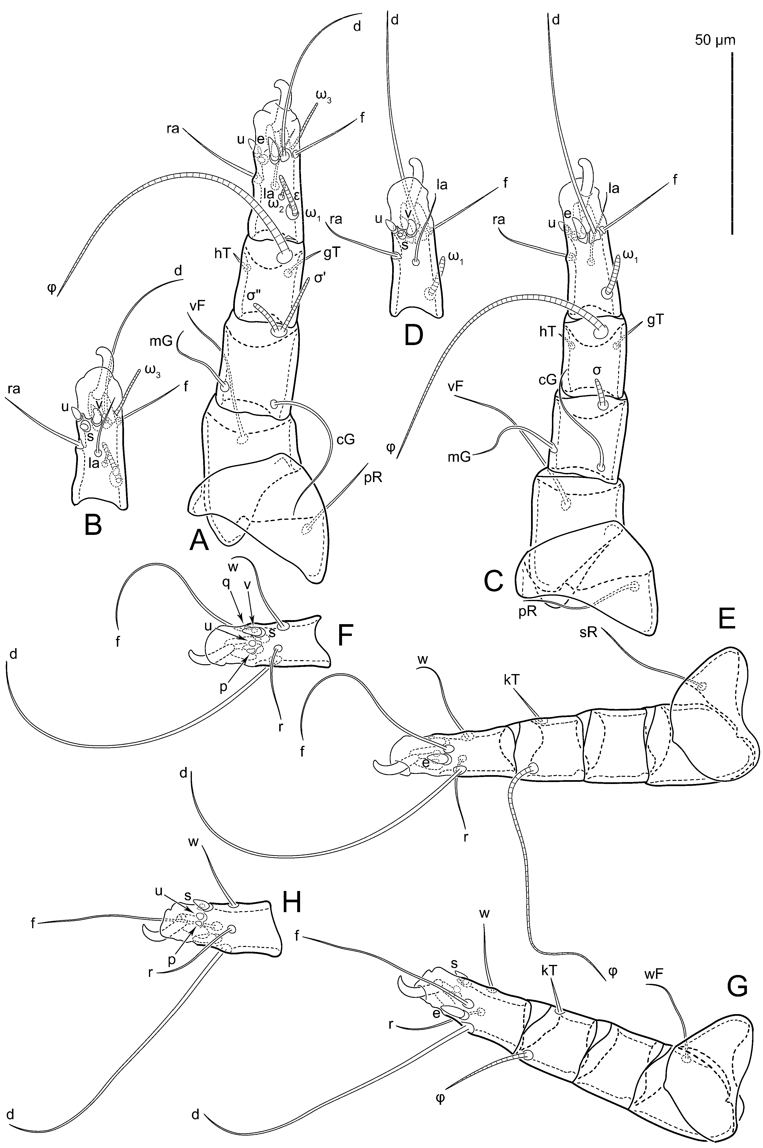 Animals 15 00357 g004