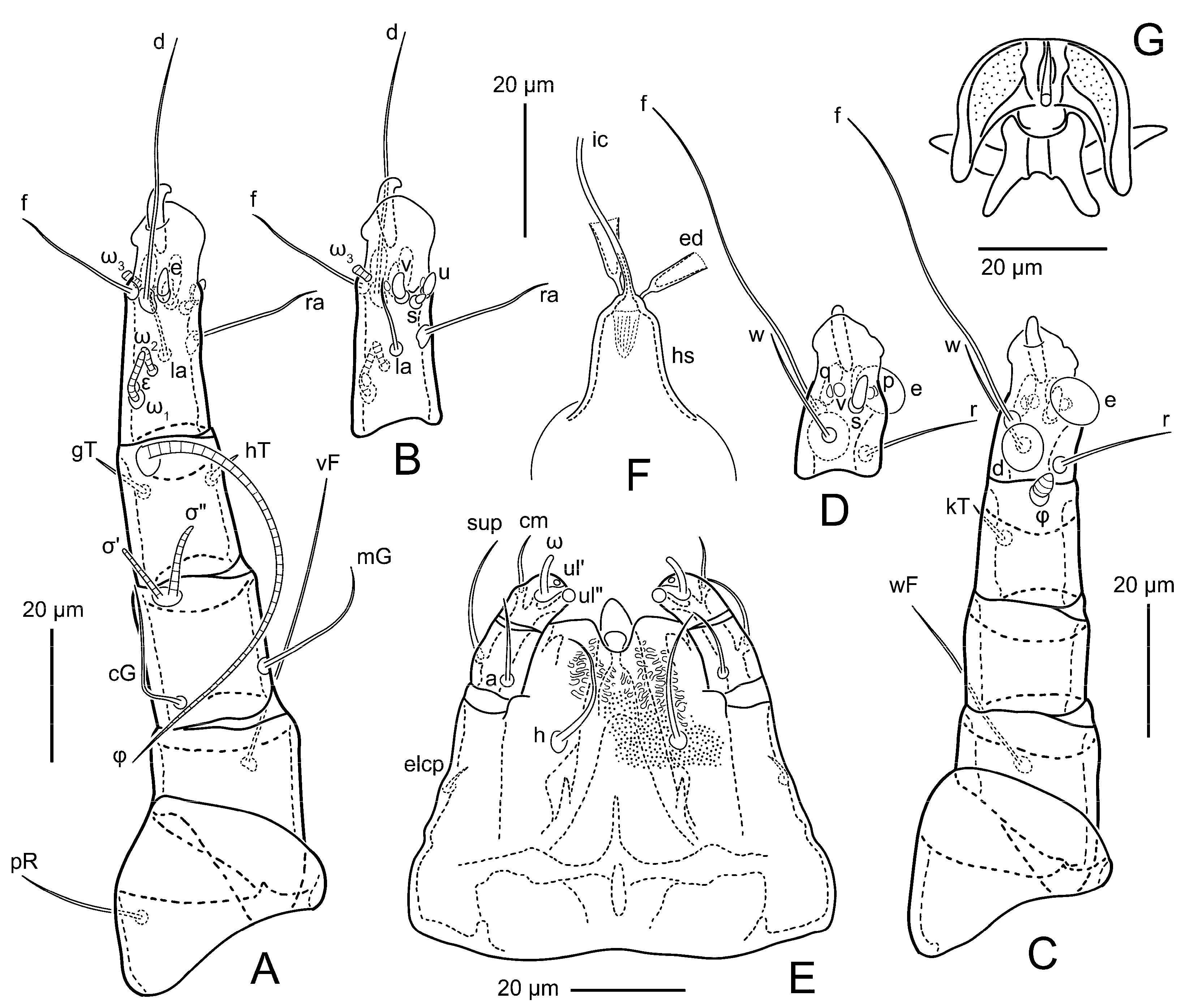 Animals 15 00357 g005