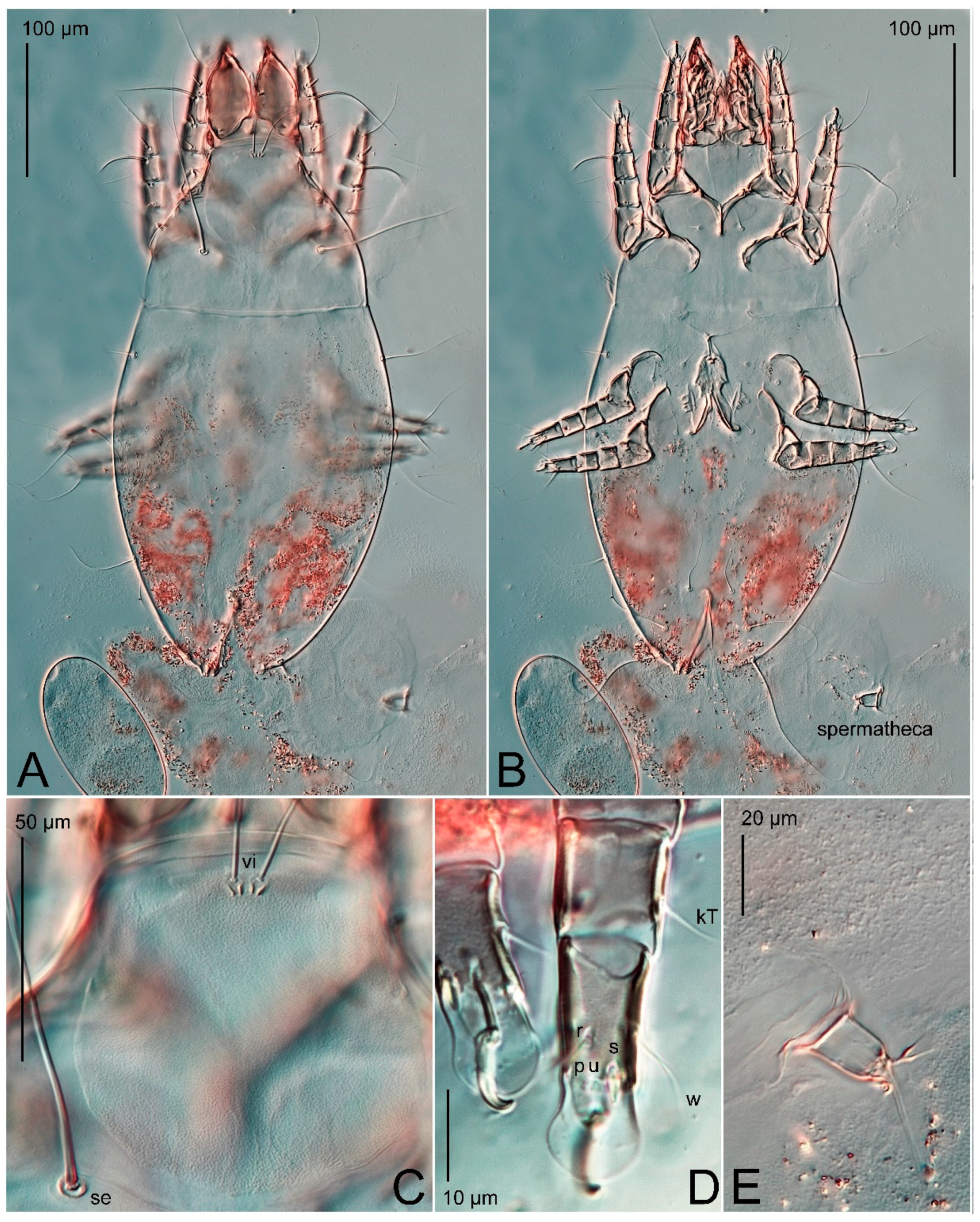 Animals 15 00357 g006