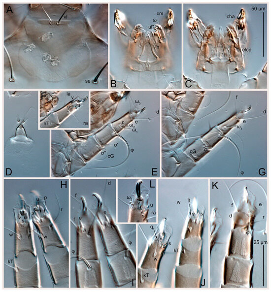 Animals 15 00357 g009