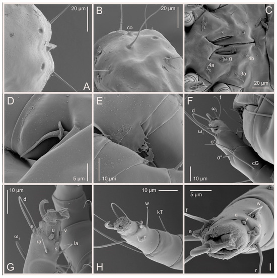 Animals 15 00357 g010