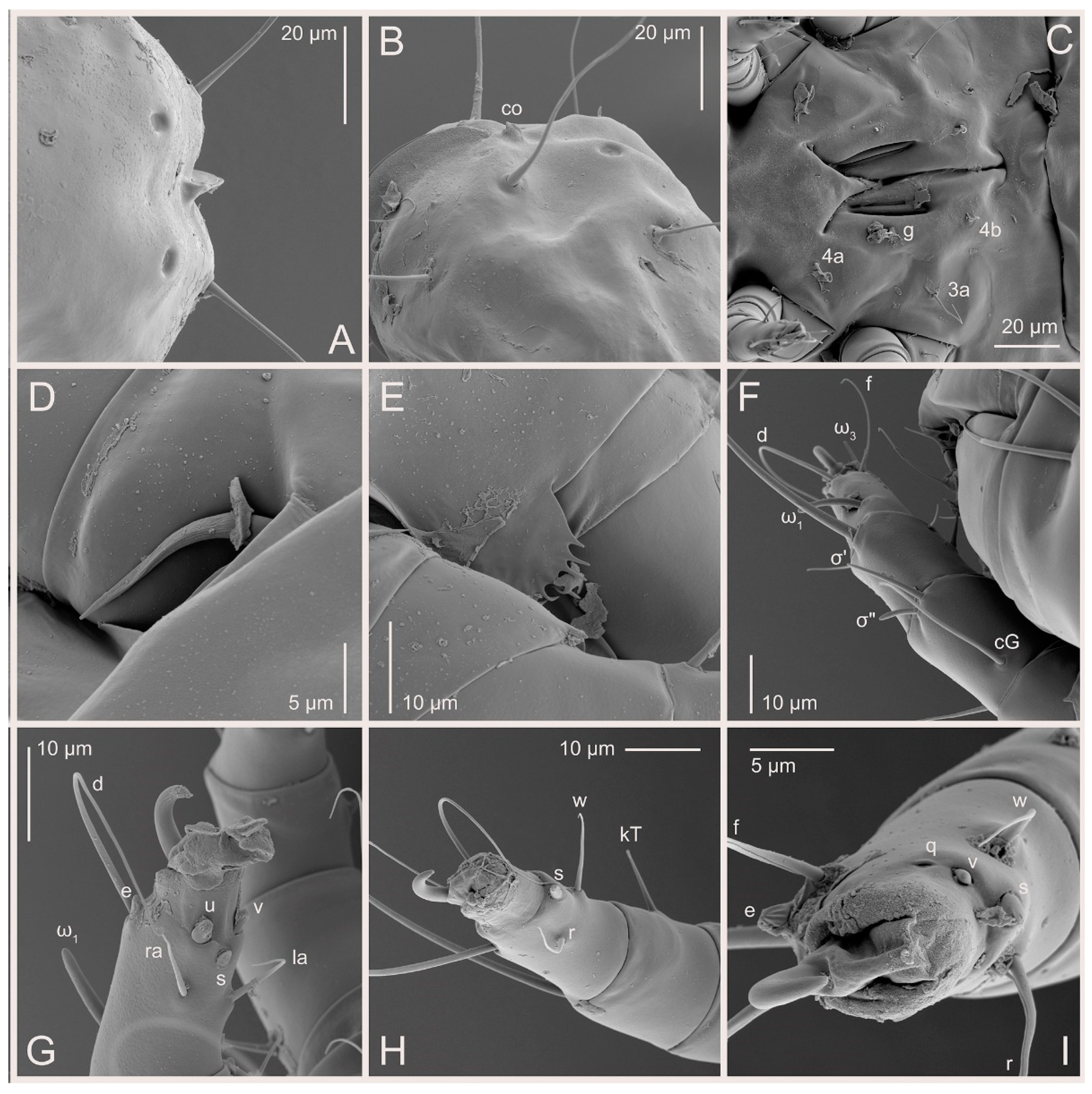 Animals 15 00357 g010