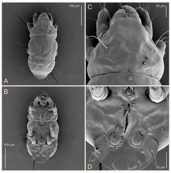 Animals 15 00357 g011