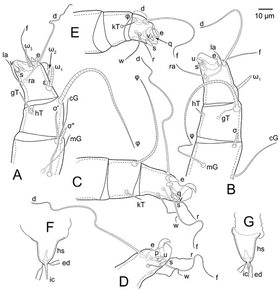 Animals 15 00357 g014