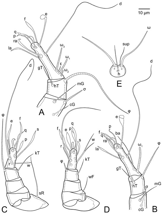 Animals 15 00357 g015