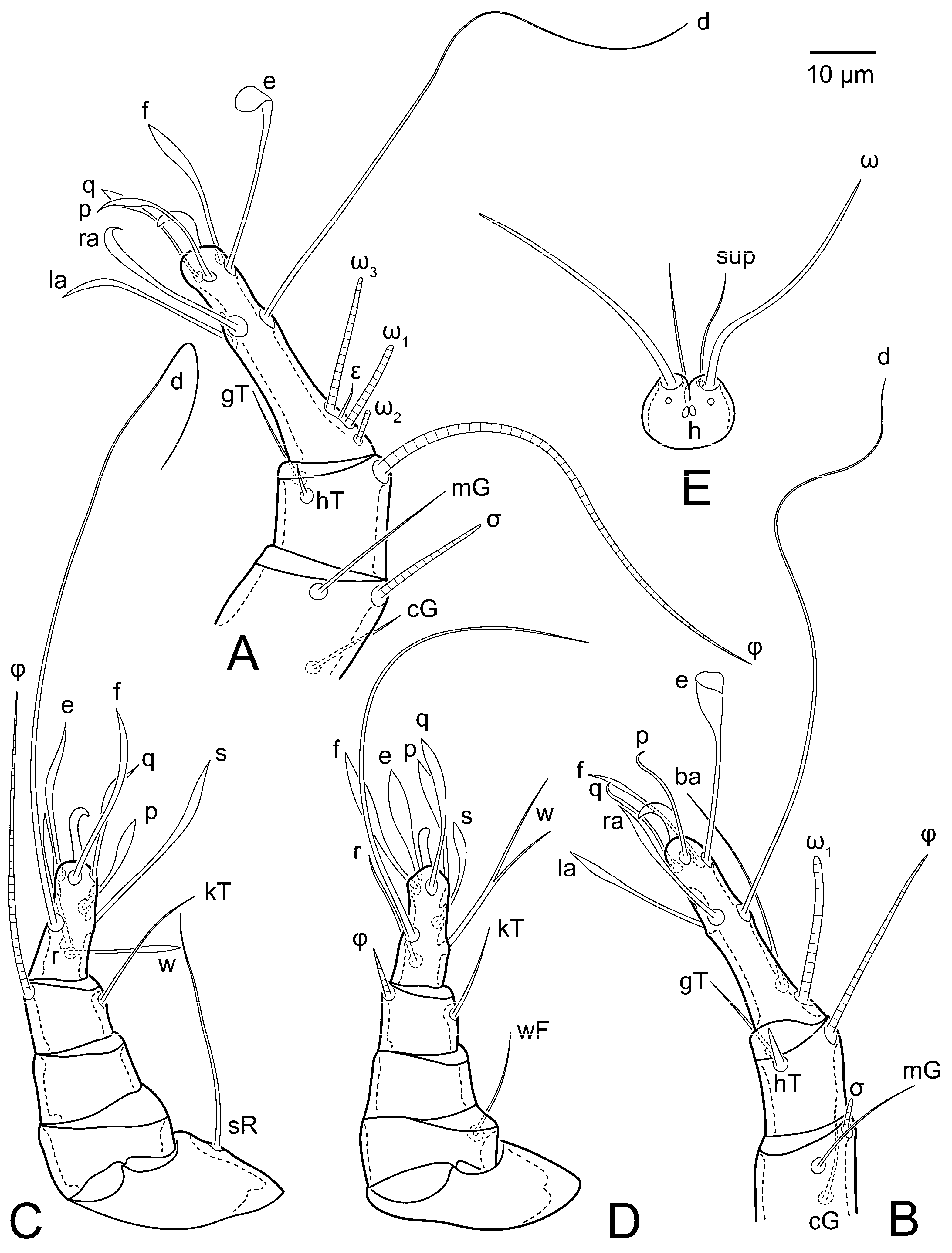 Animals 15 00357 g015