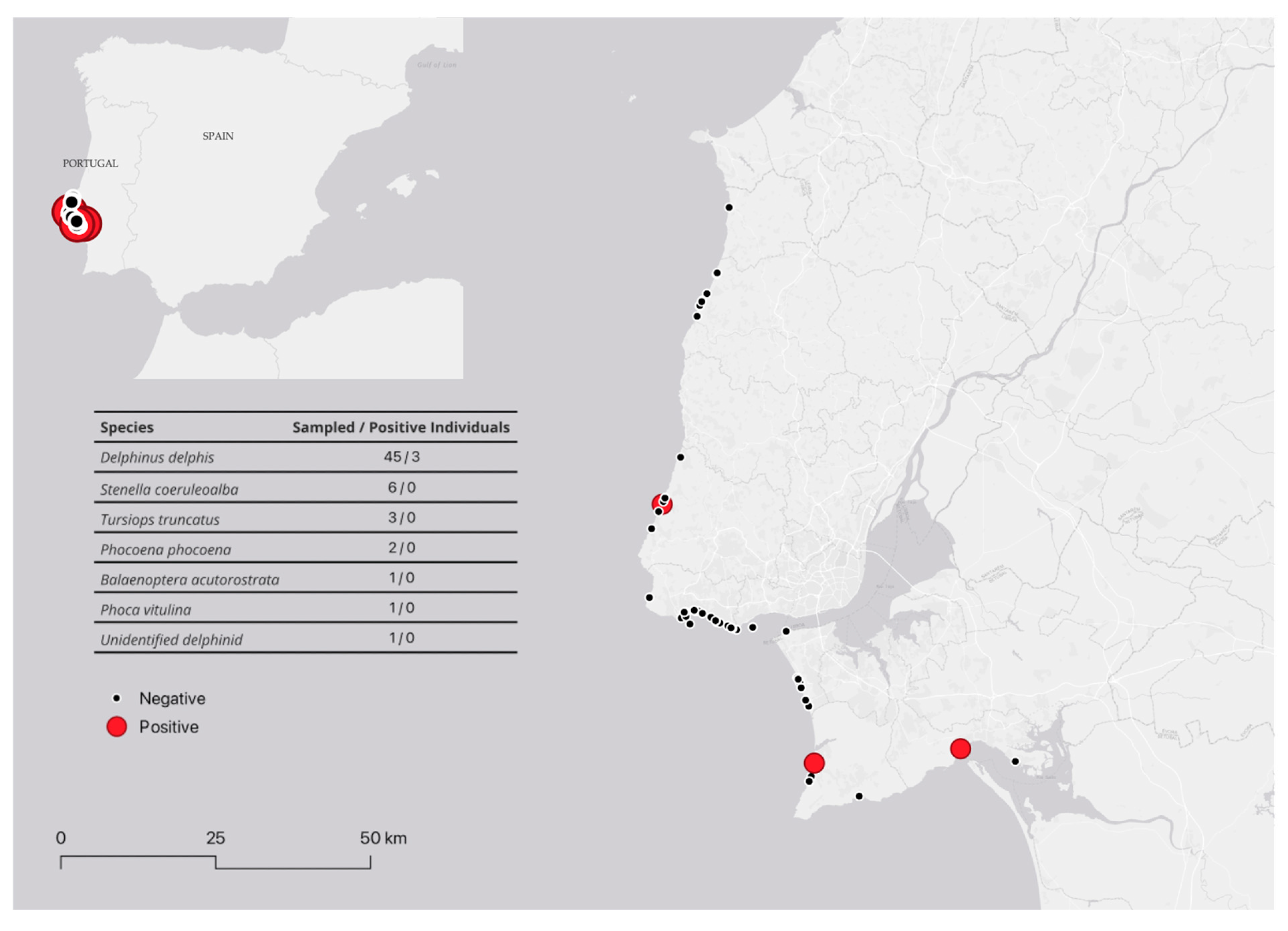 Animals 15 00374 g001