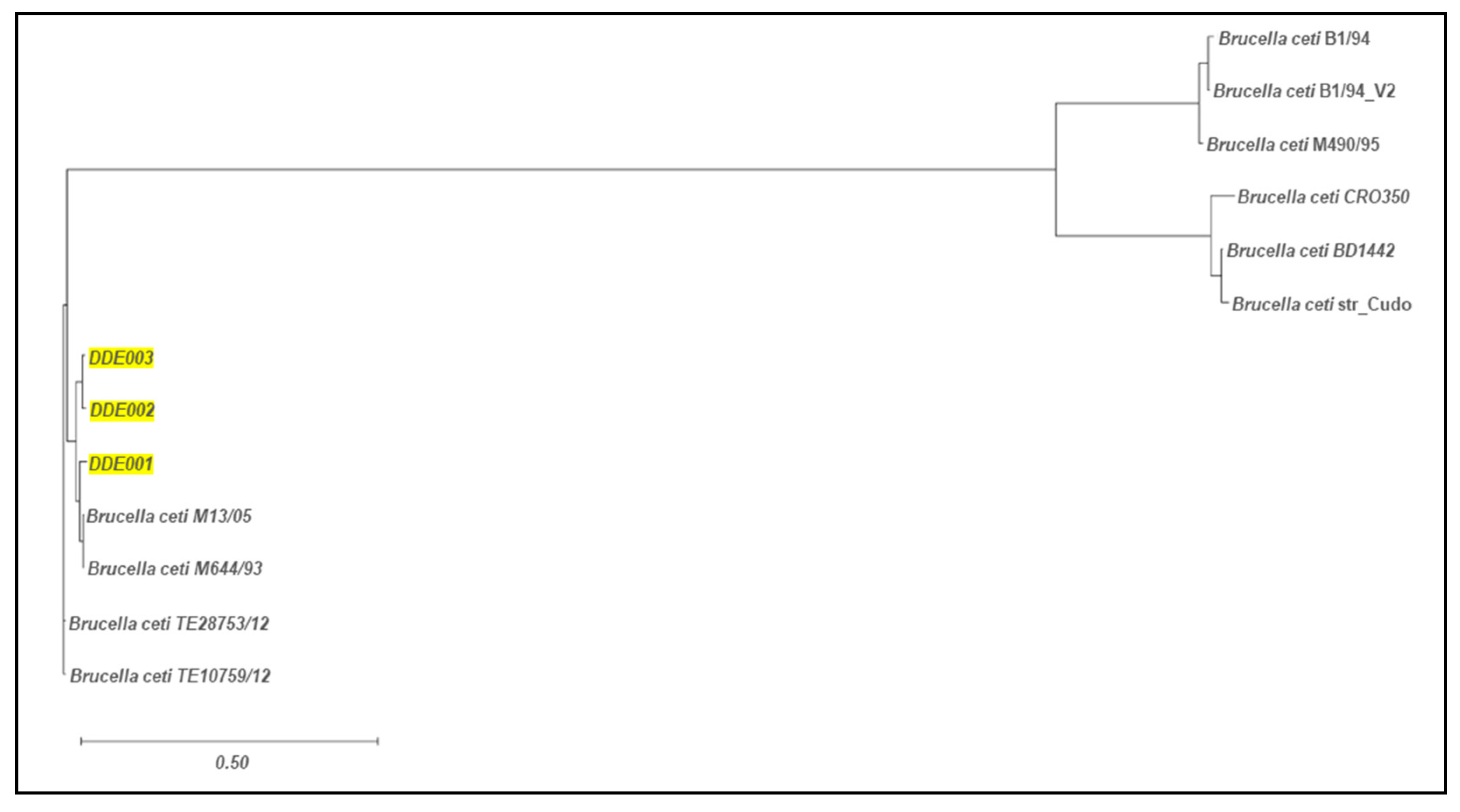 Animals 15 00374 g002