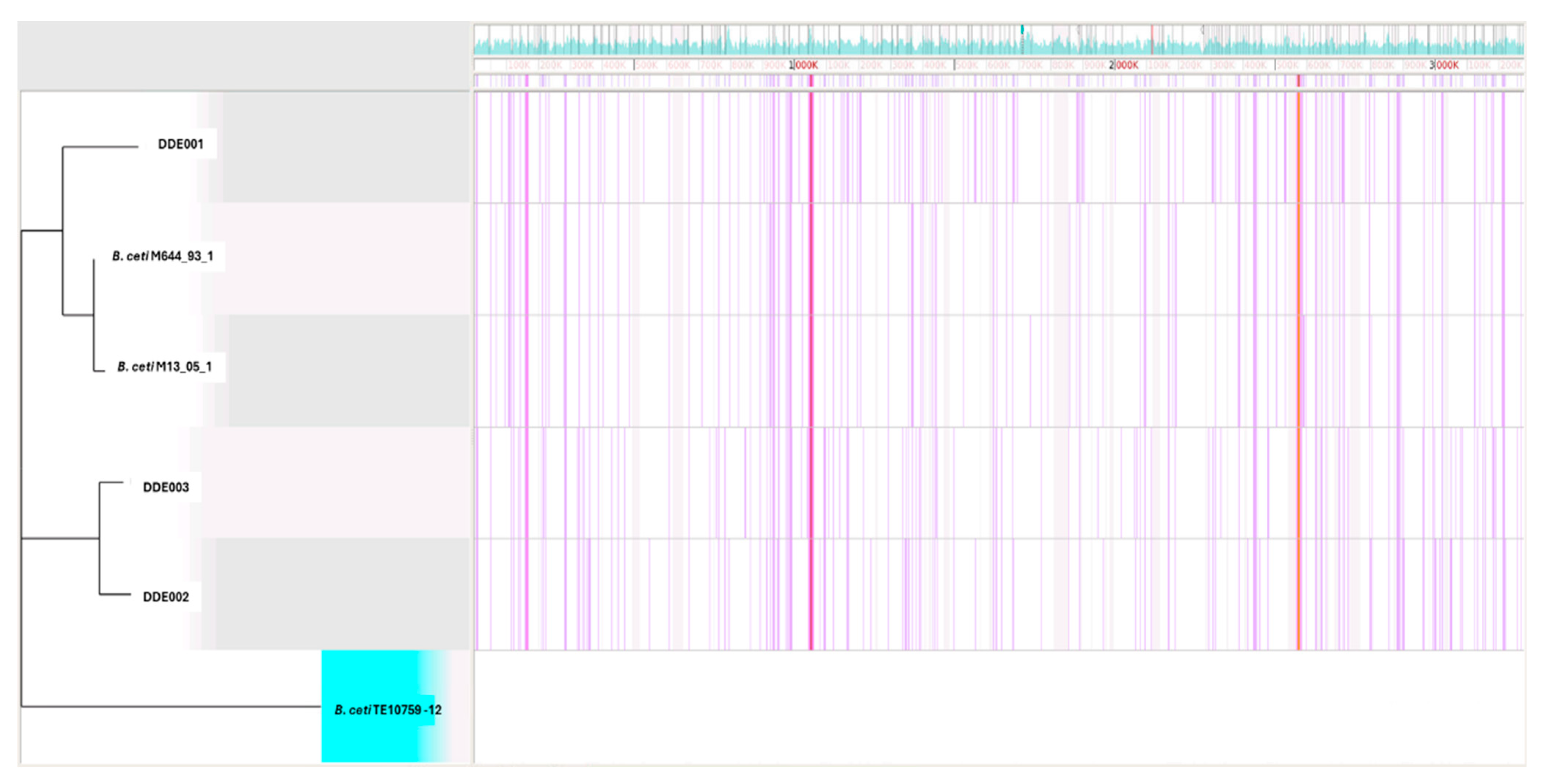 Animals 15 00374 g003