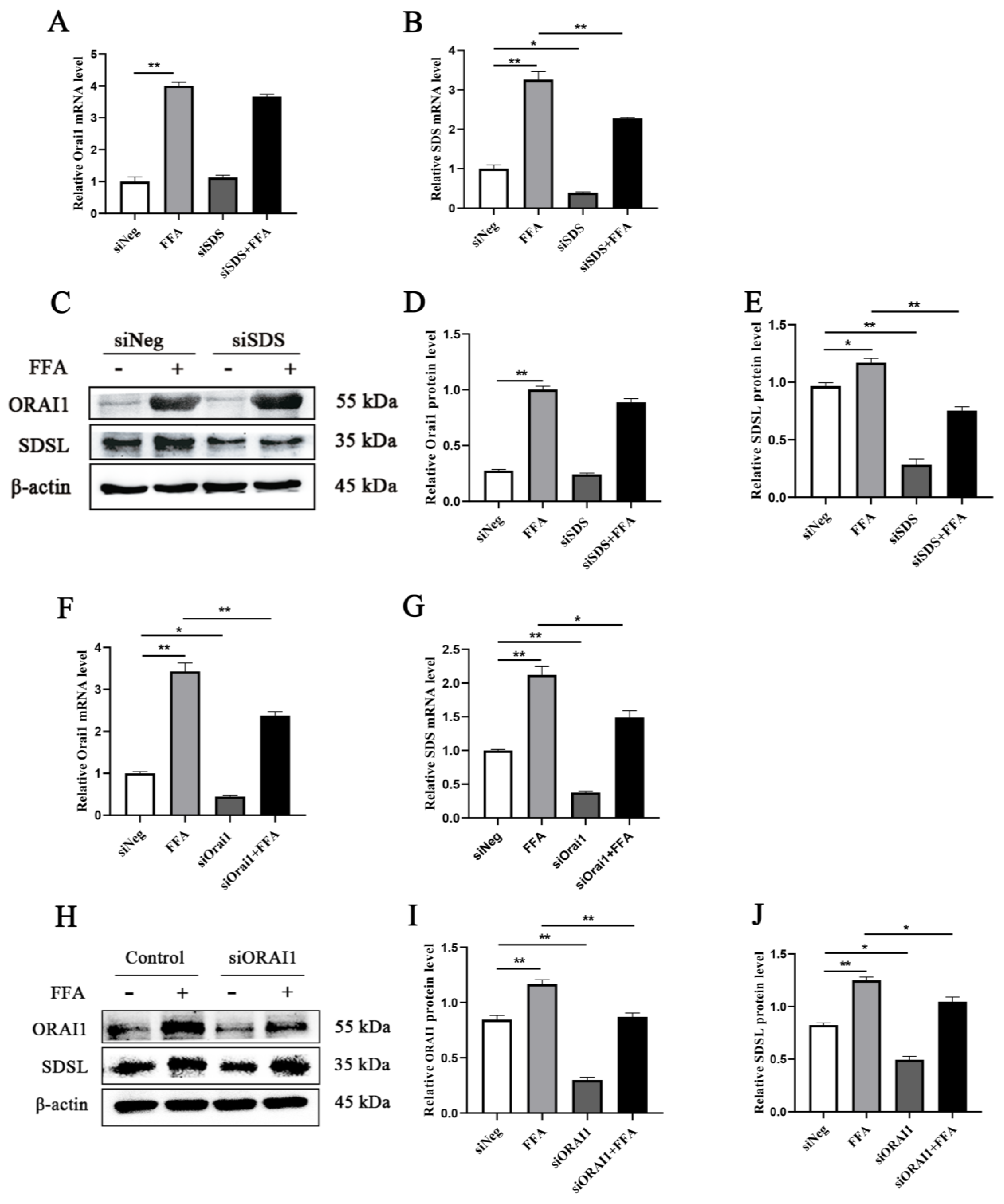 Animals 15 00388 g005