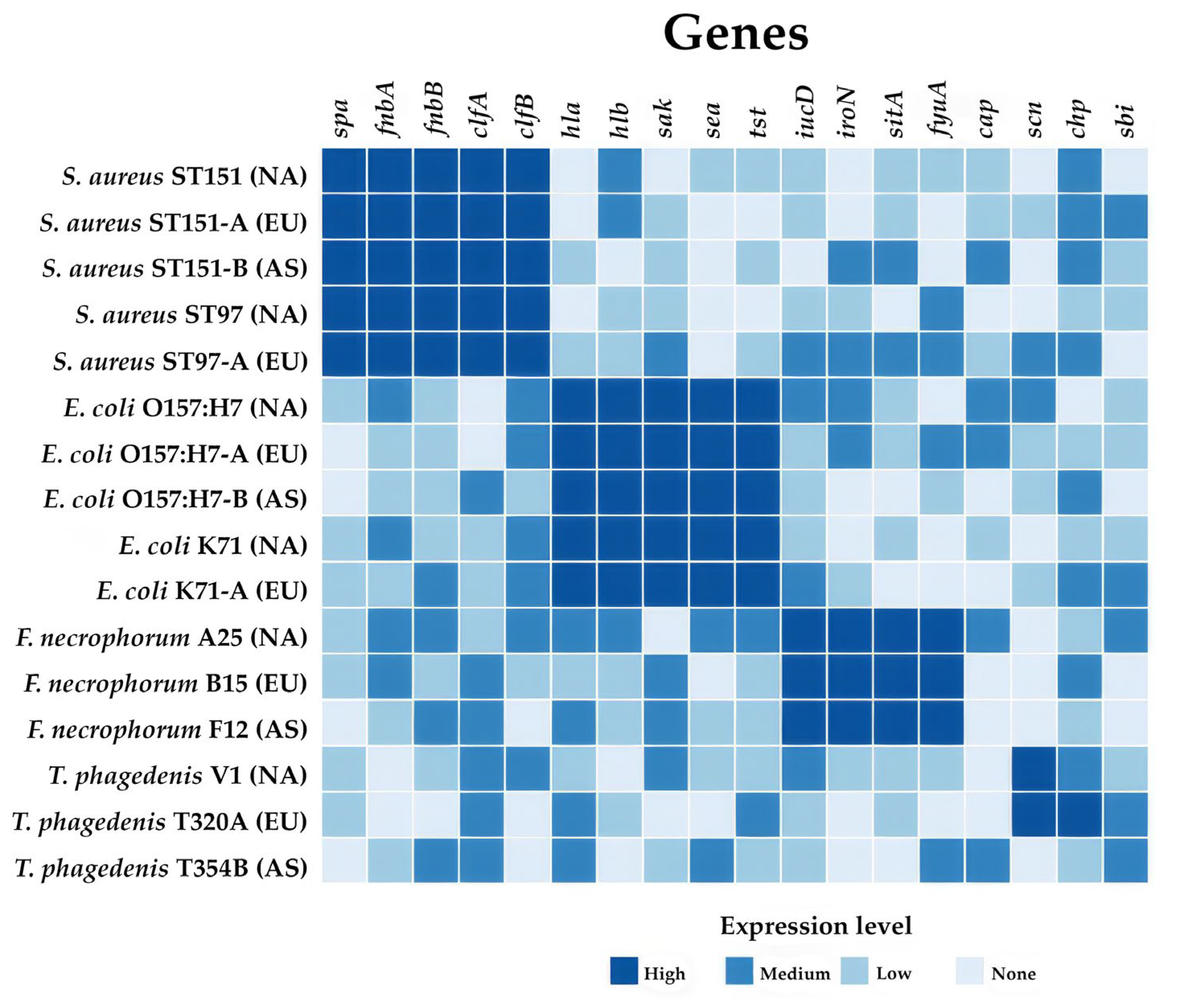 Animals 15 00394 g001