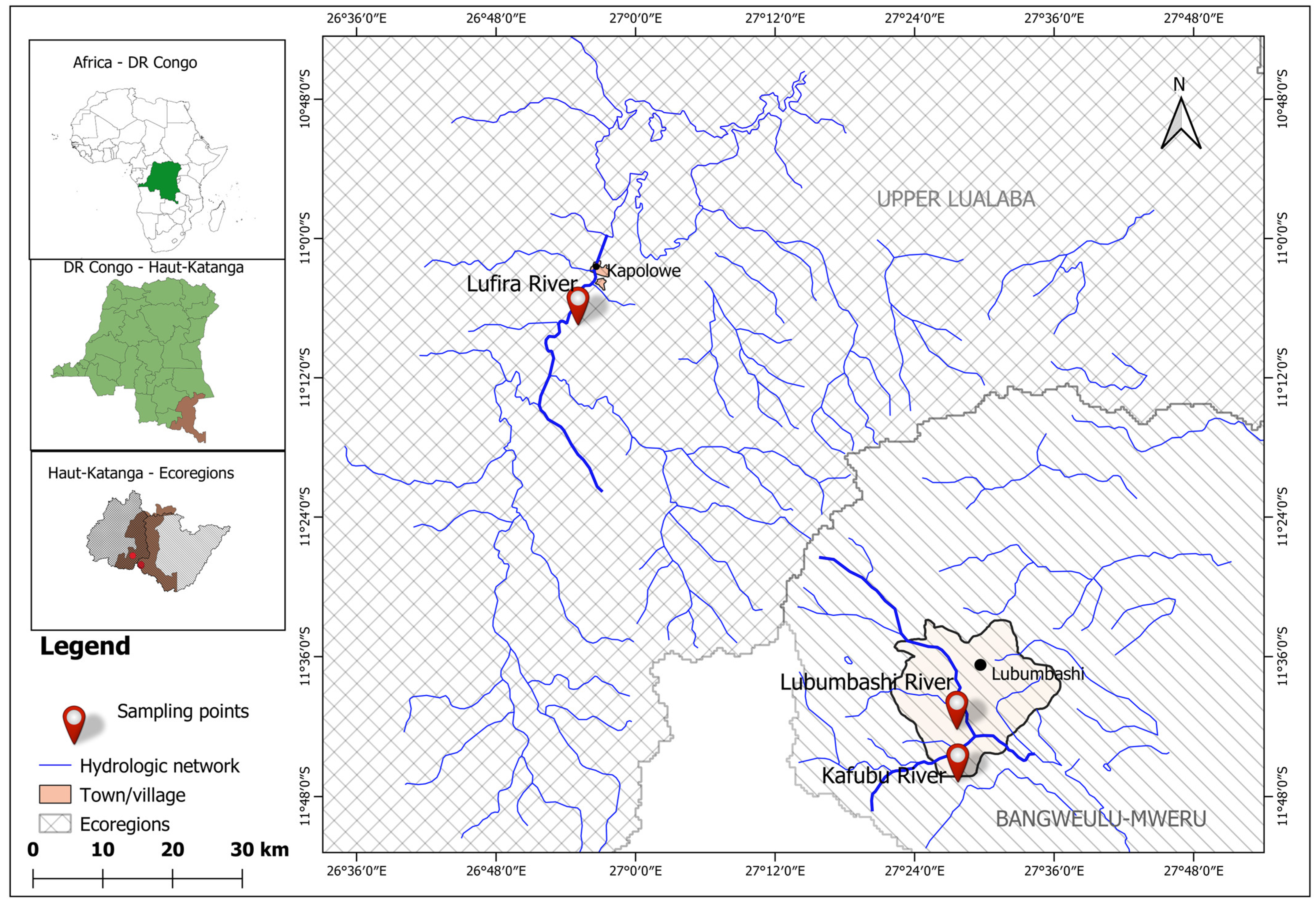 Animals 15 00395 g001