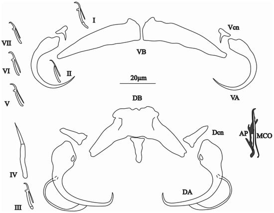 Animals 15 00395 g004