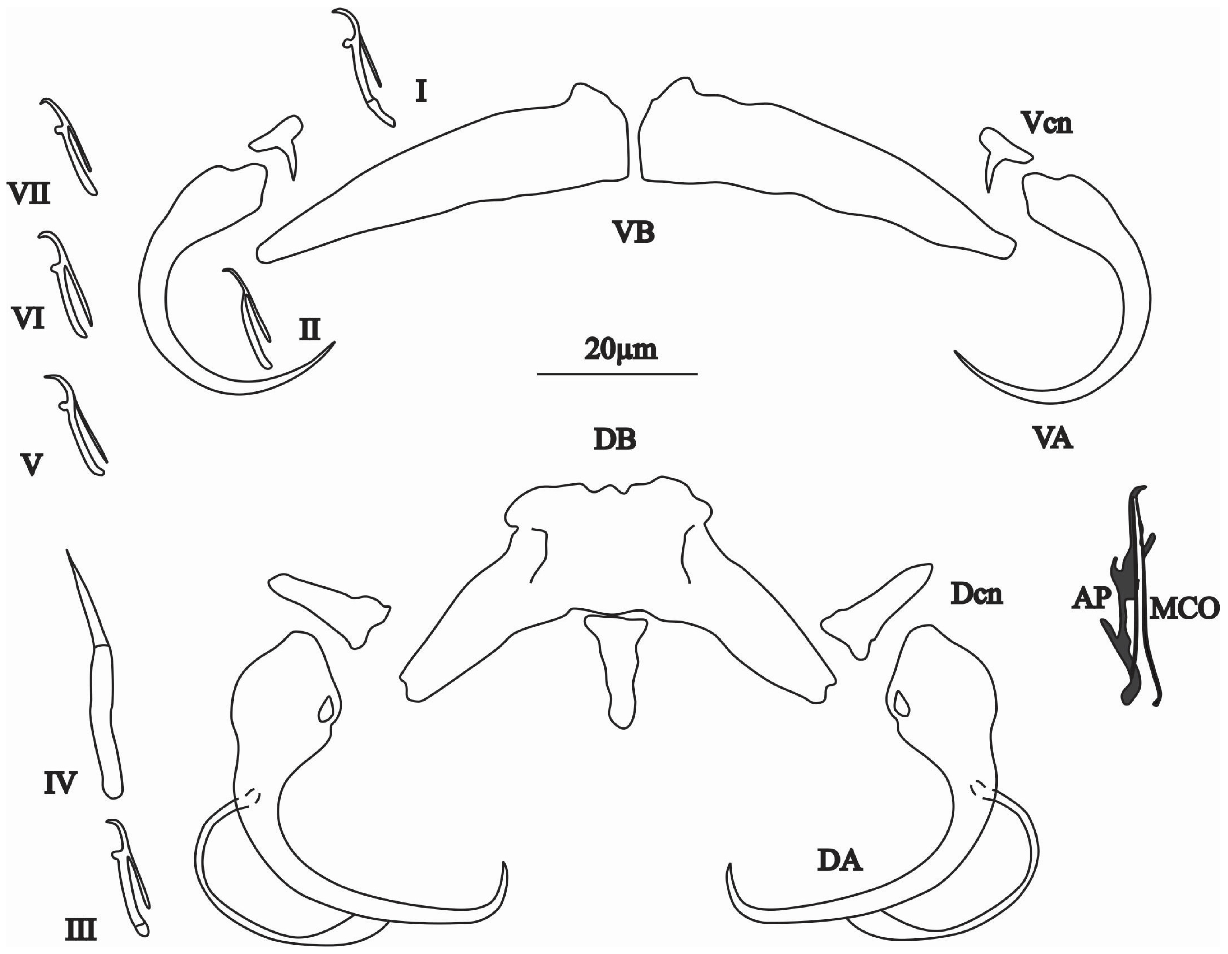 Animals 15 00395 g004