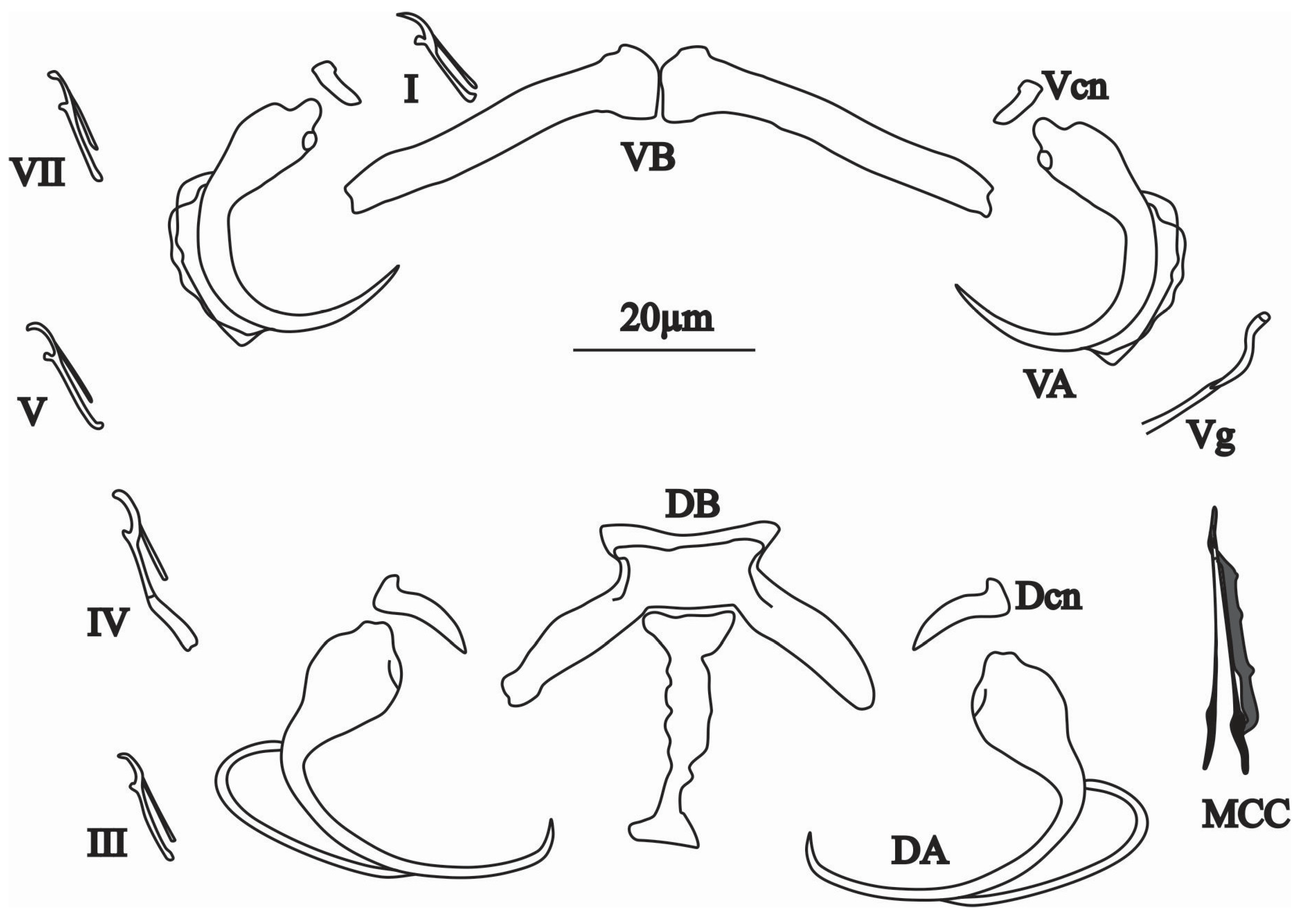 Animals 15 00395 g005