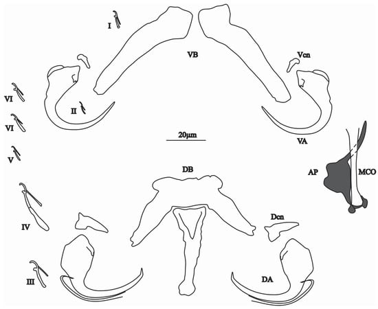 Animals 15 00395 g006