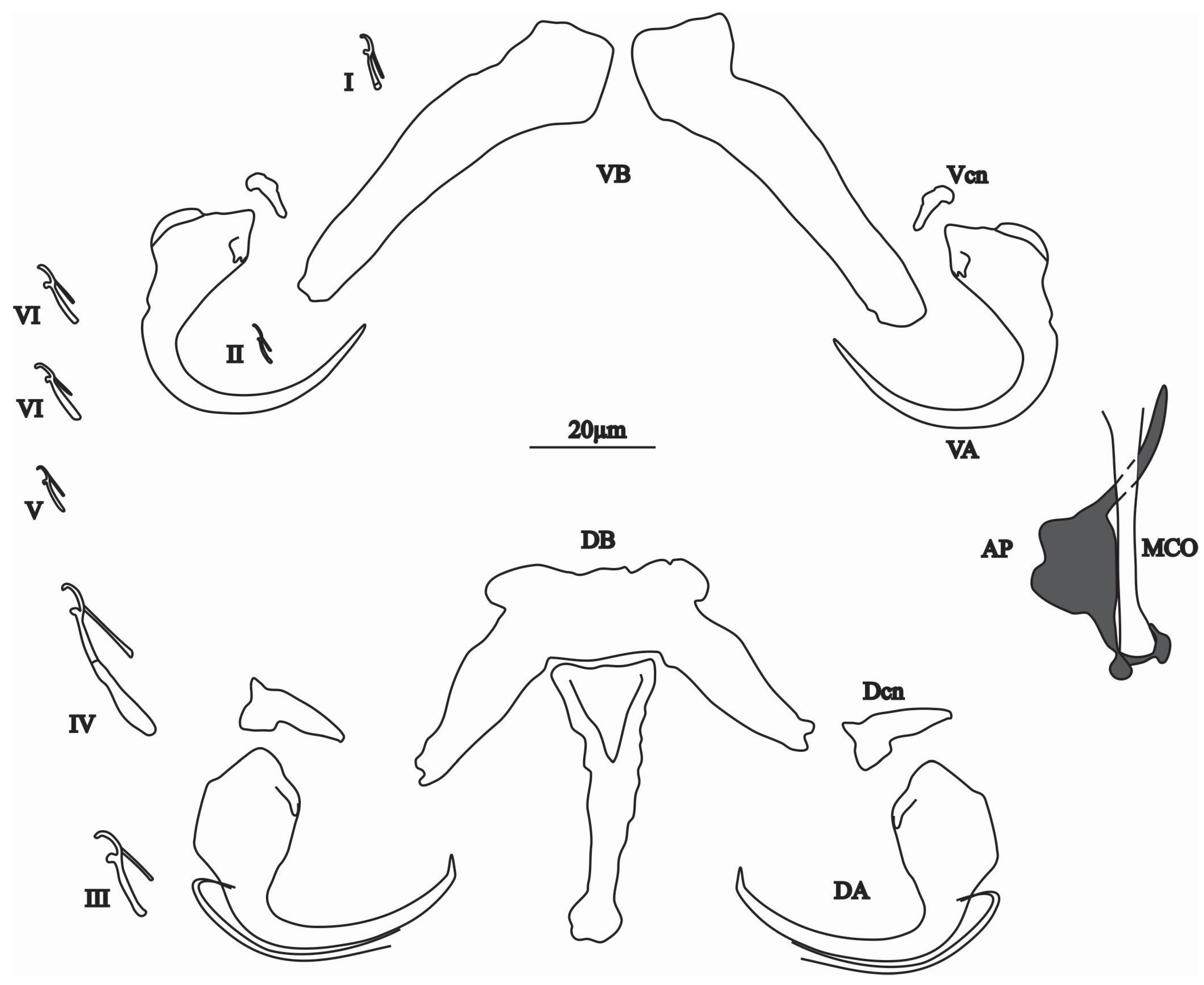 Animals 15 00395 g006