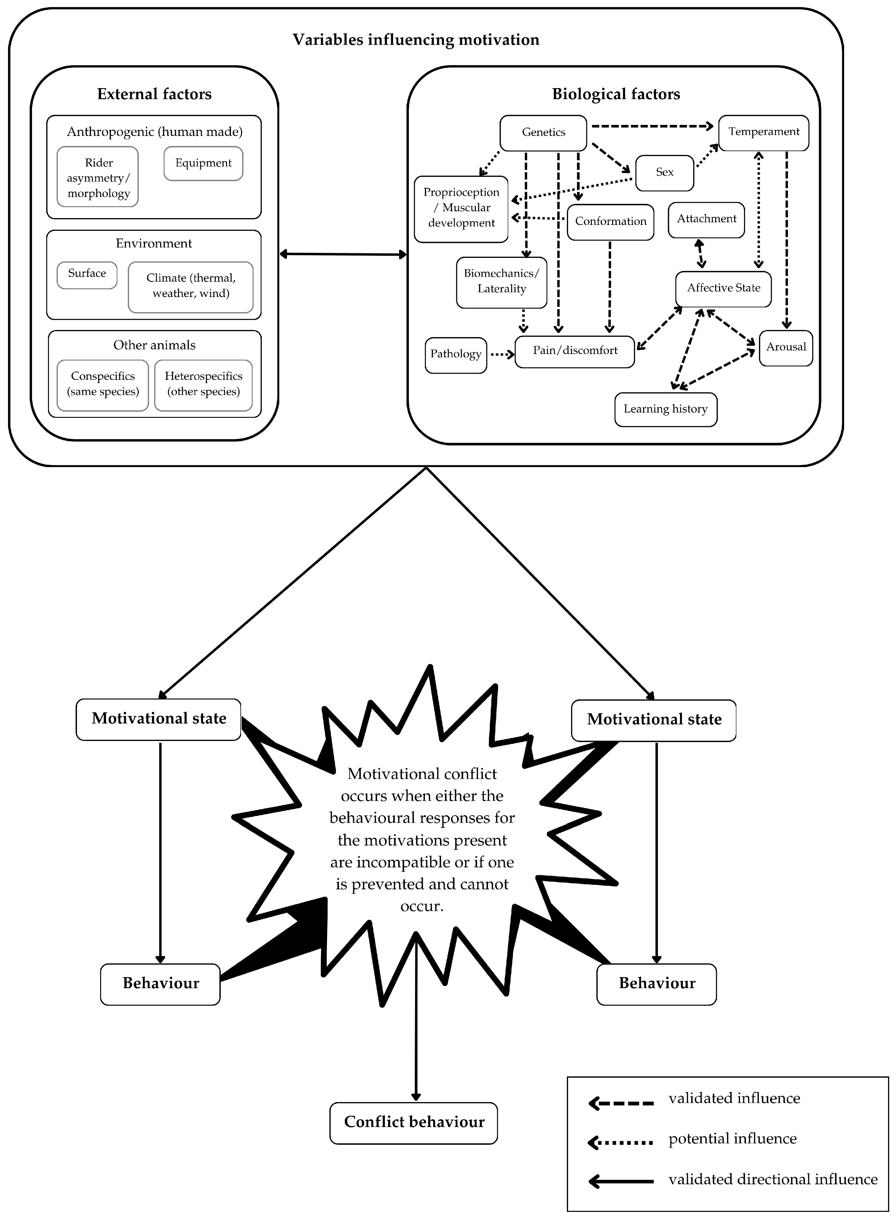 Animals 15 00399 g001