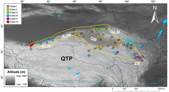 Animals 15 00400 g001