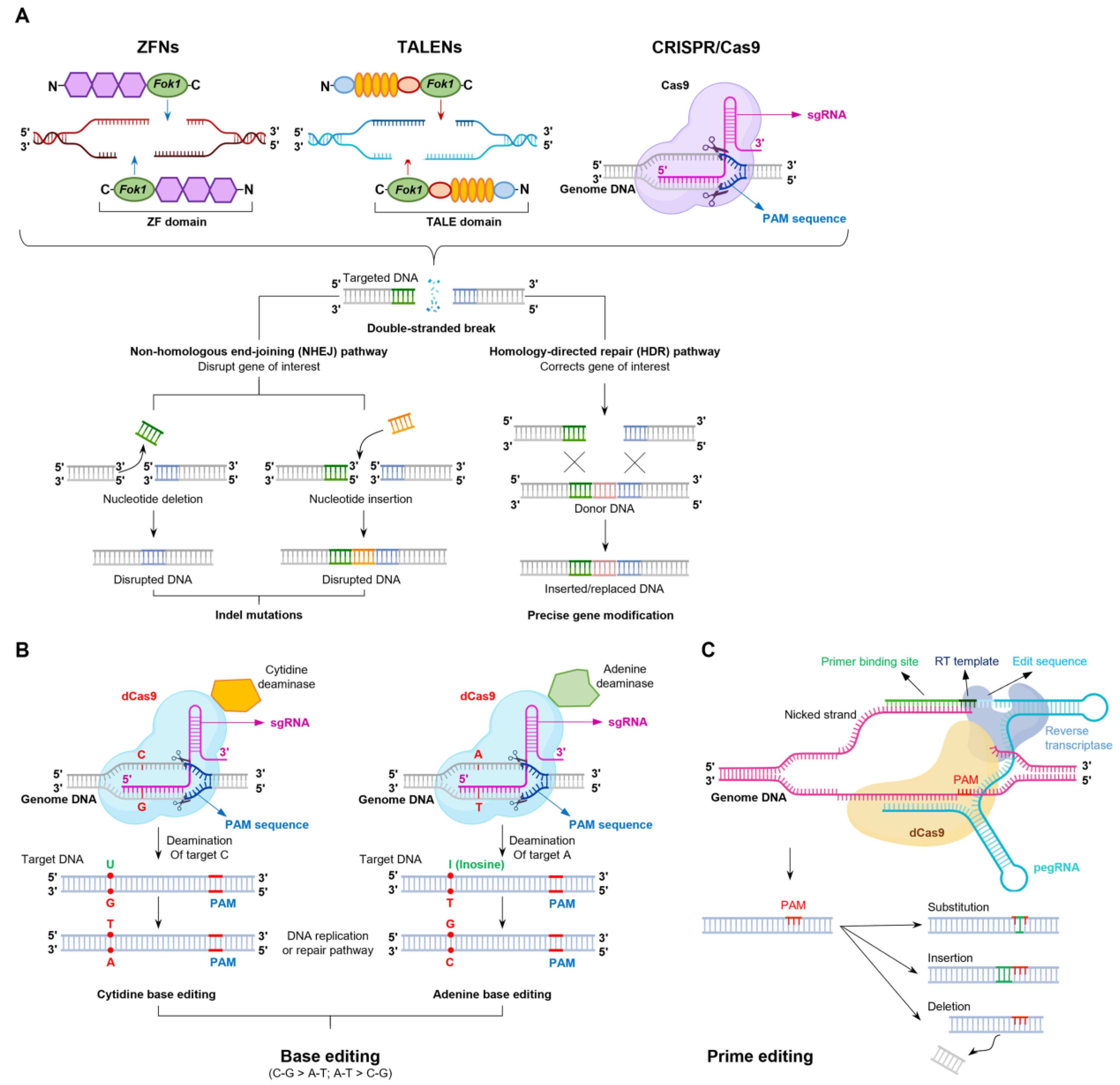 Animals 15 00422 g001